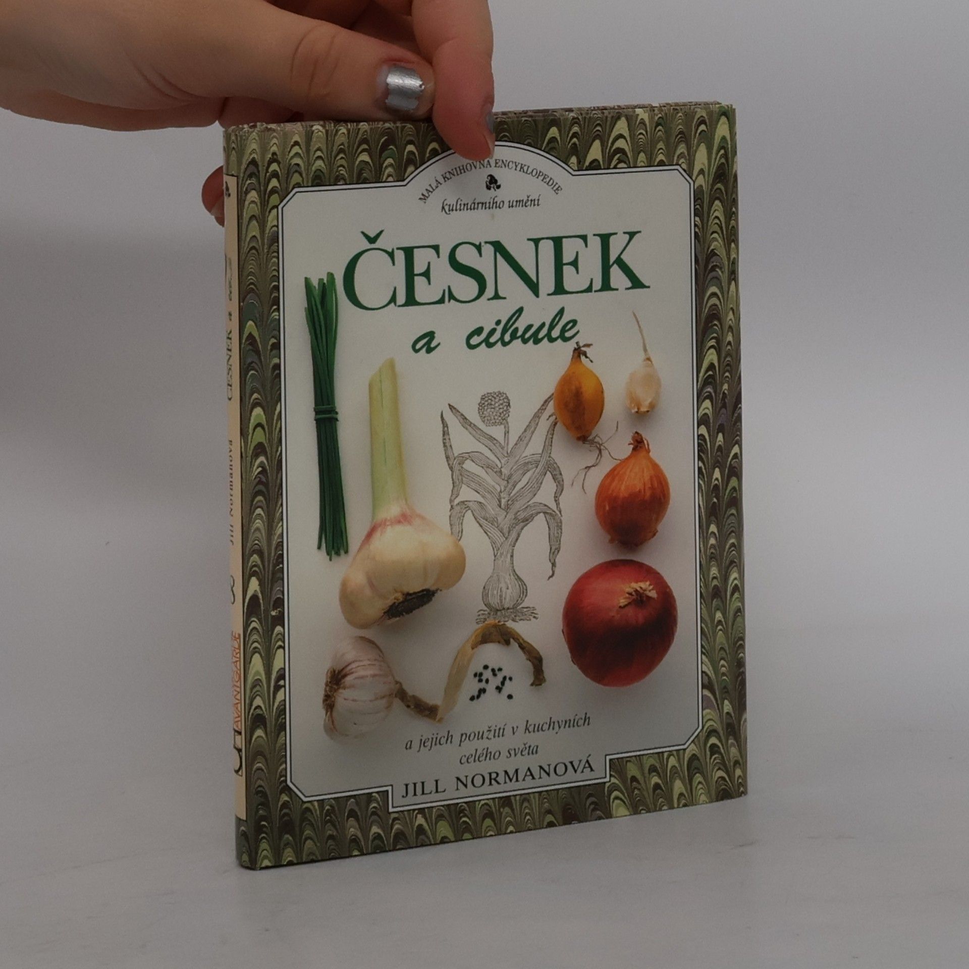Česnek a cibule
