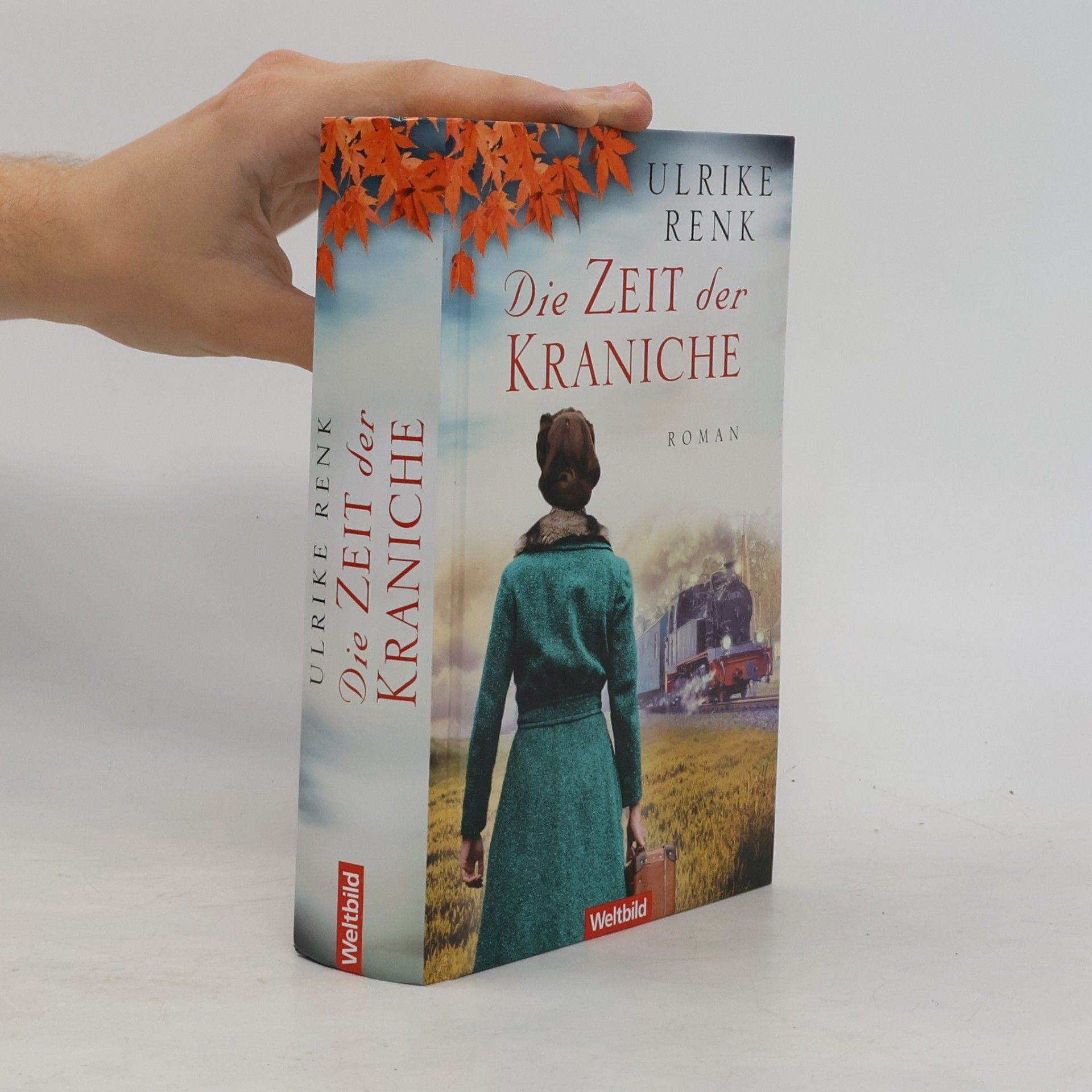 Ulrike Renk Die Zeit der Kraniche