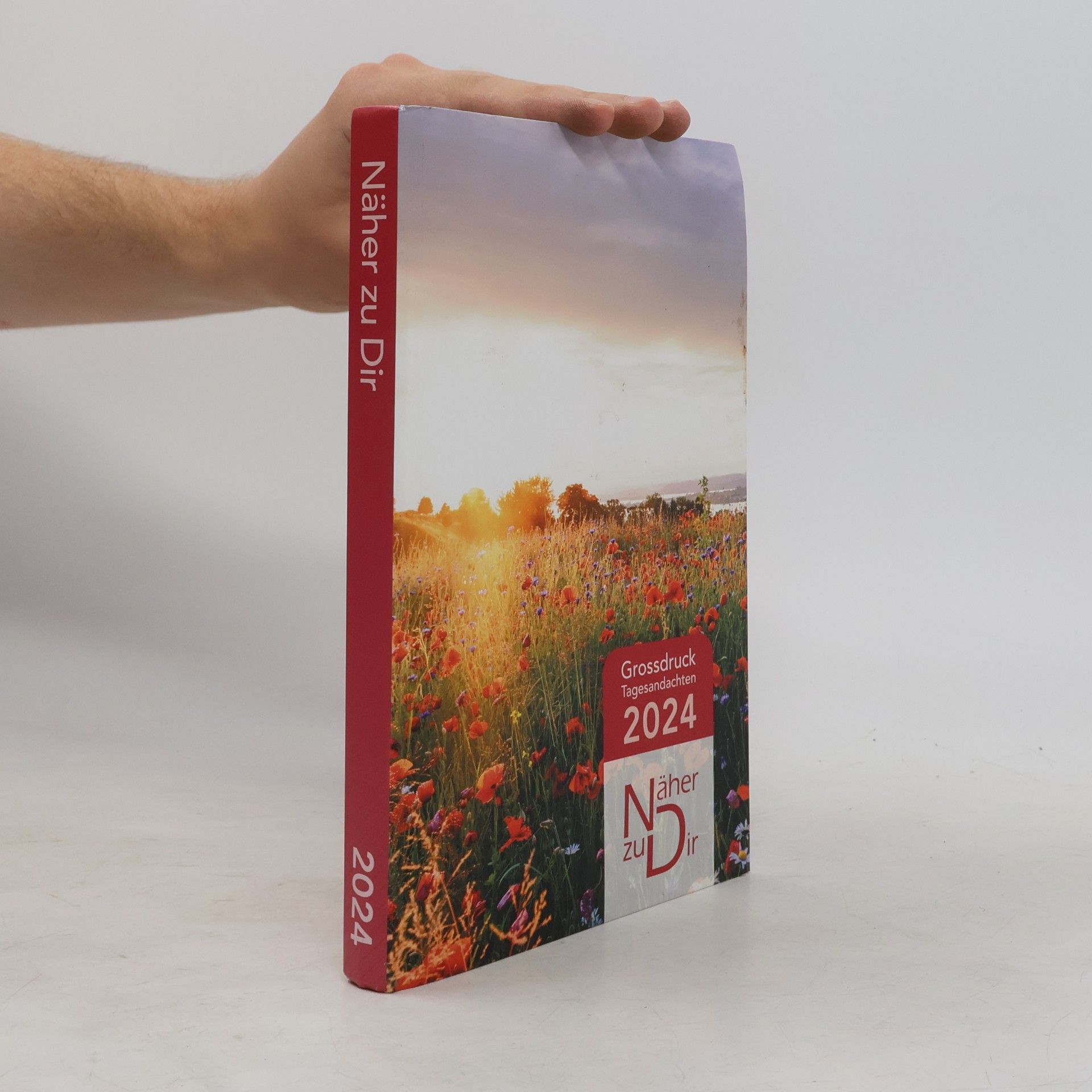Various authors Näher zu dir 2024