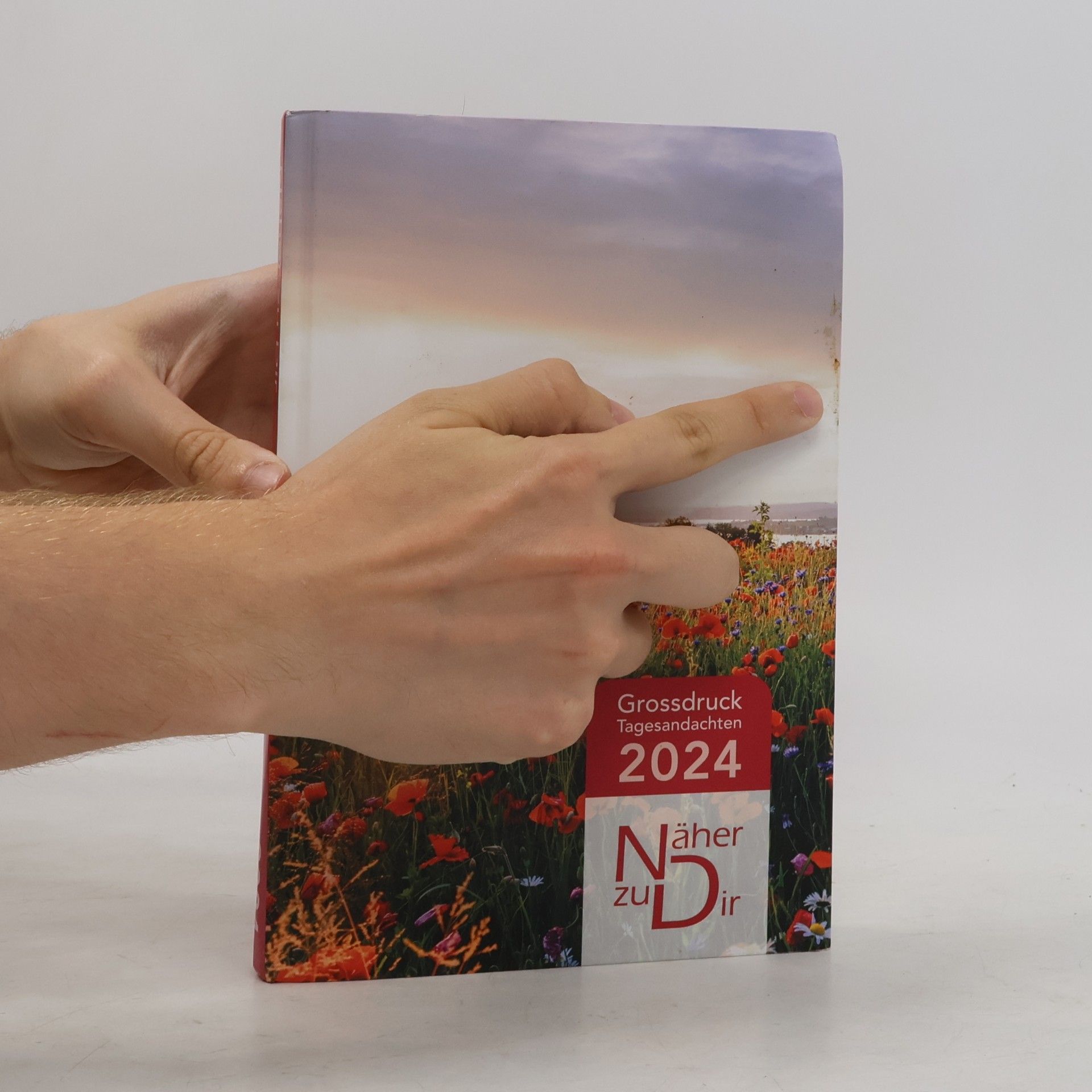 Various authors Näher zu dir 2024