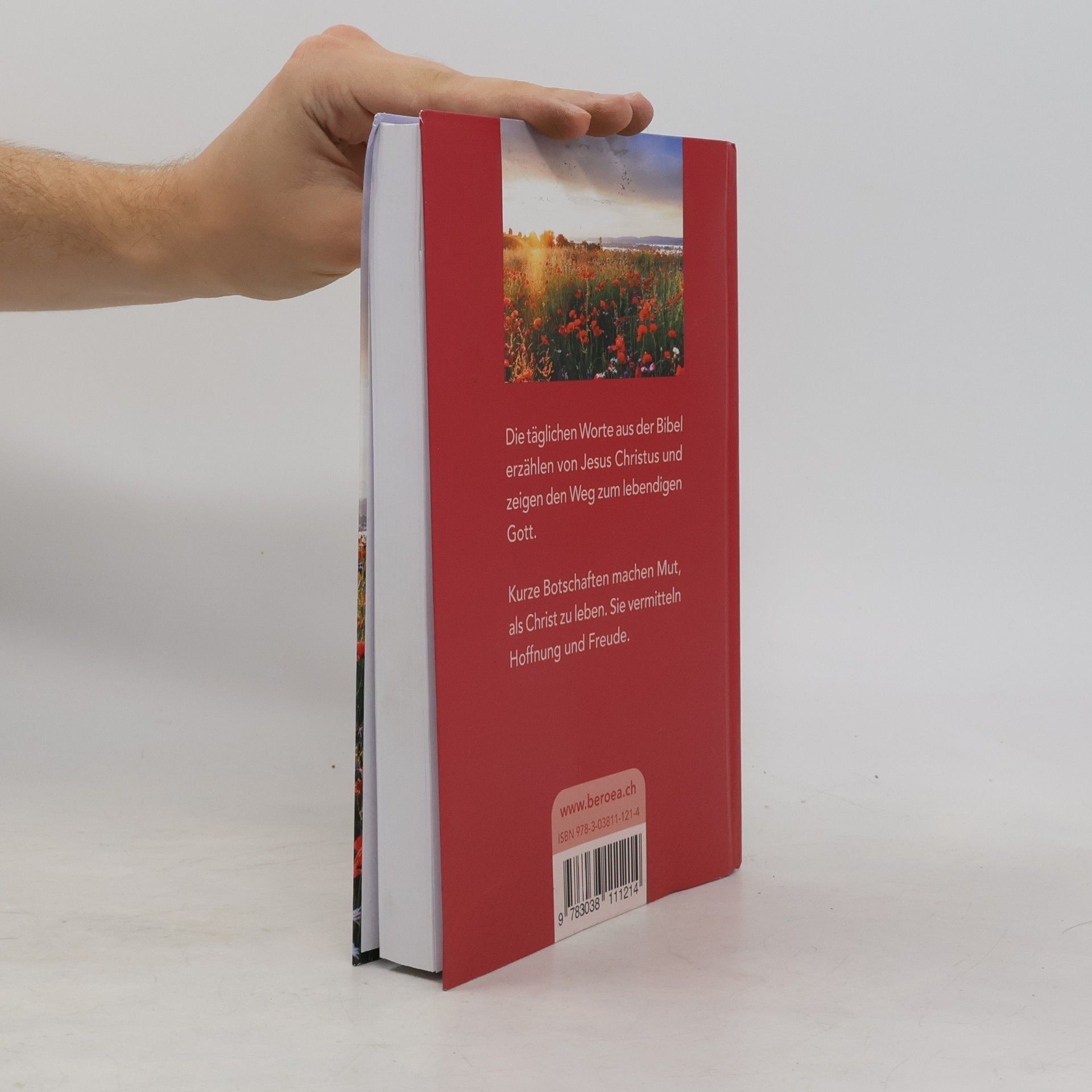 Various authors Näher zu dir 2024