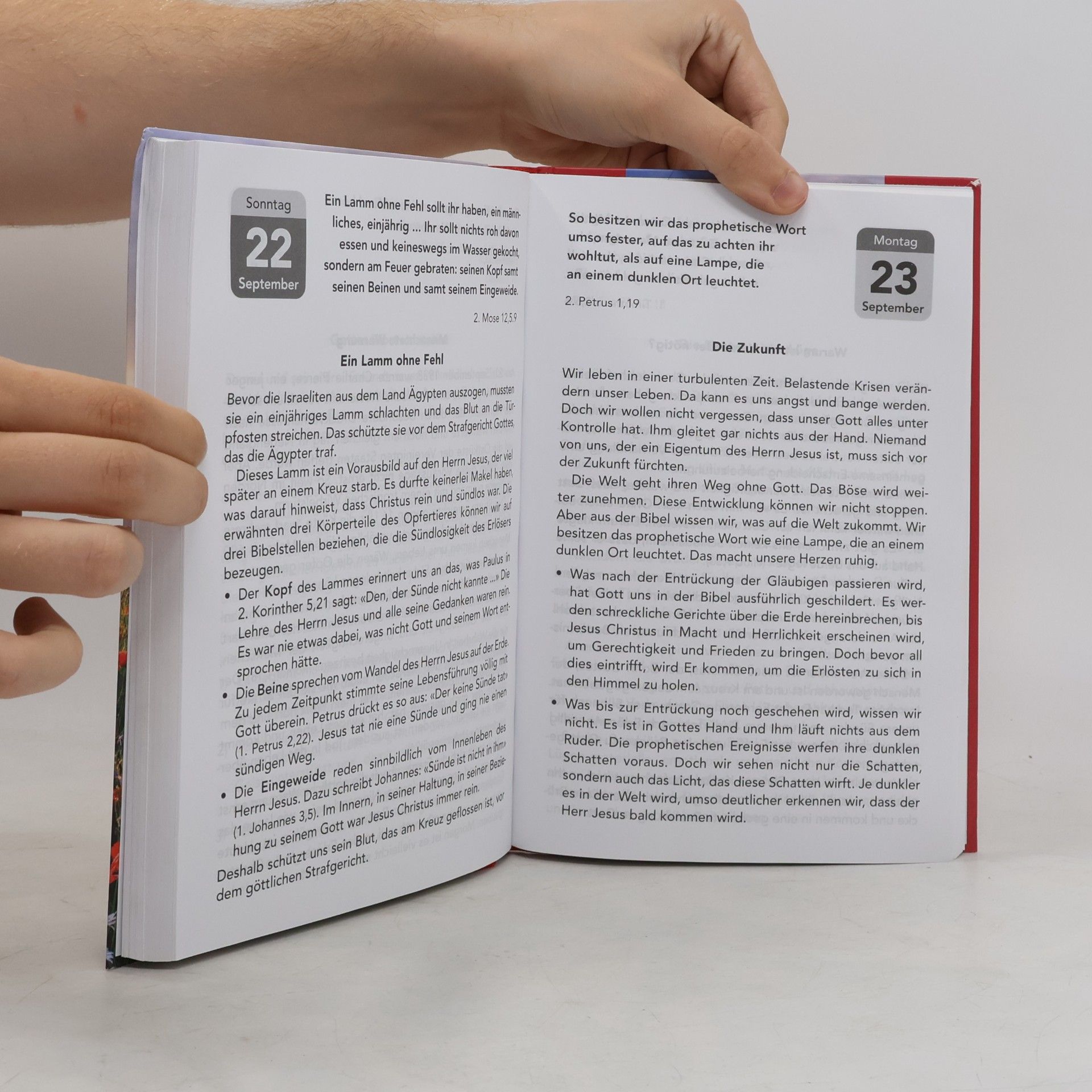Various authors Näher zu dir 2024