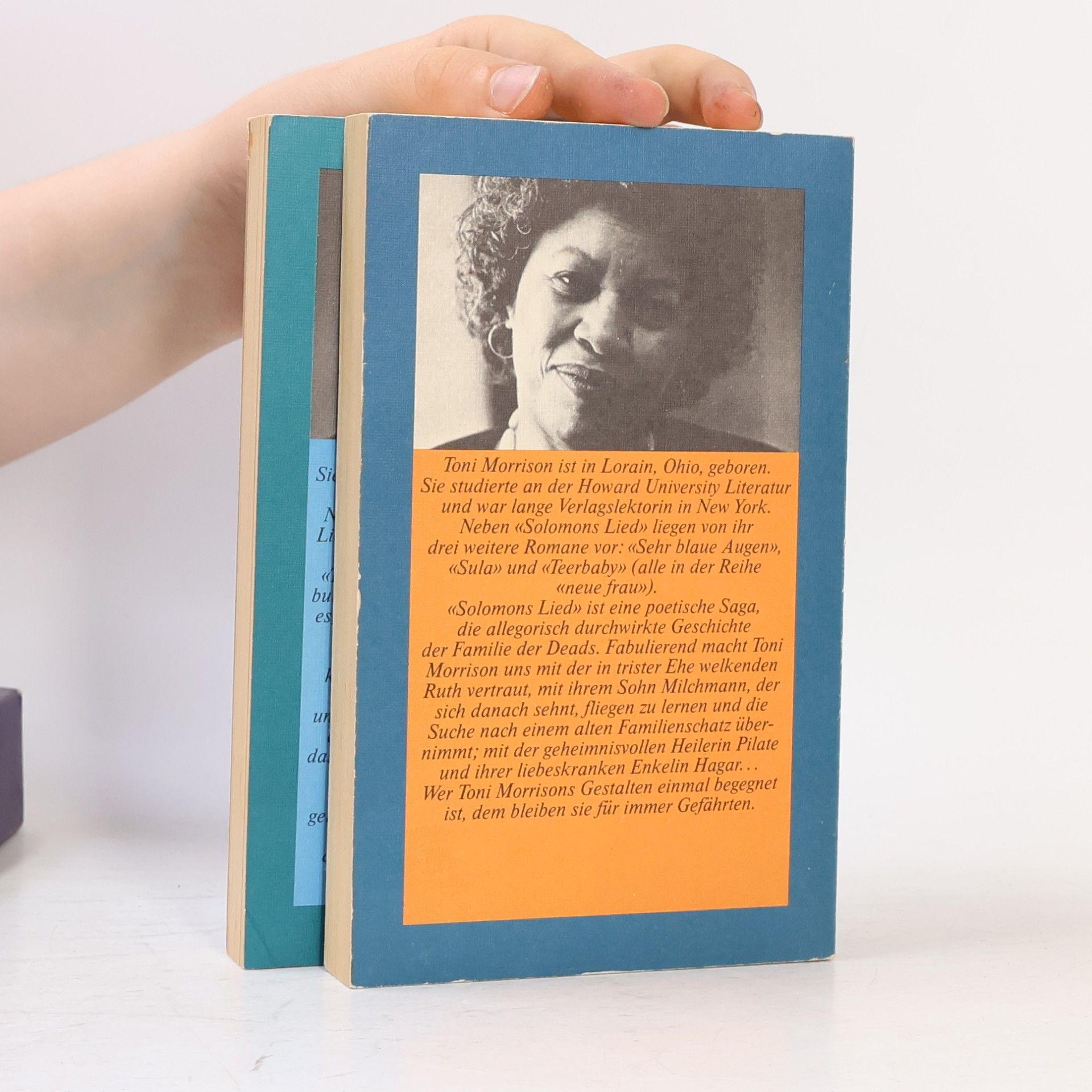 Toni Morrison Solomons Lied. Teerbaby