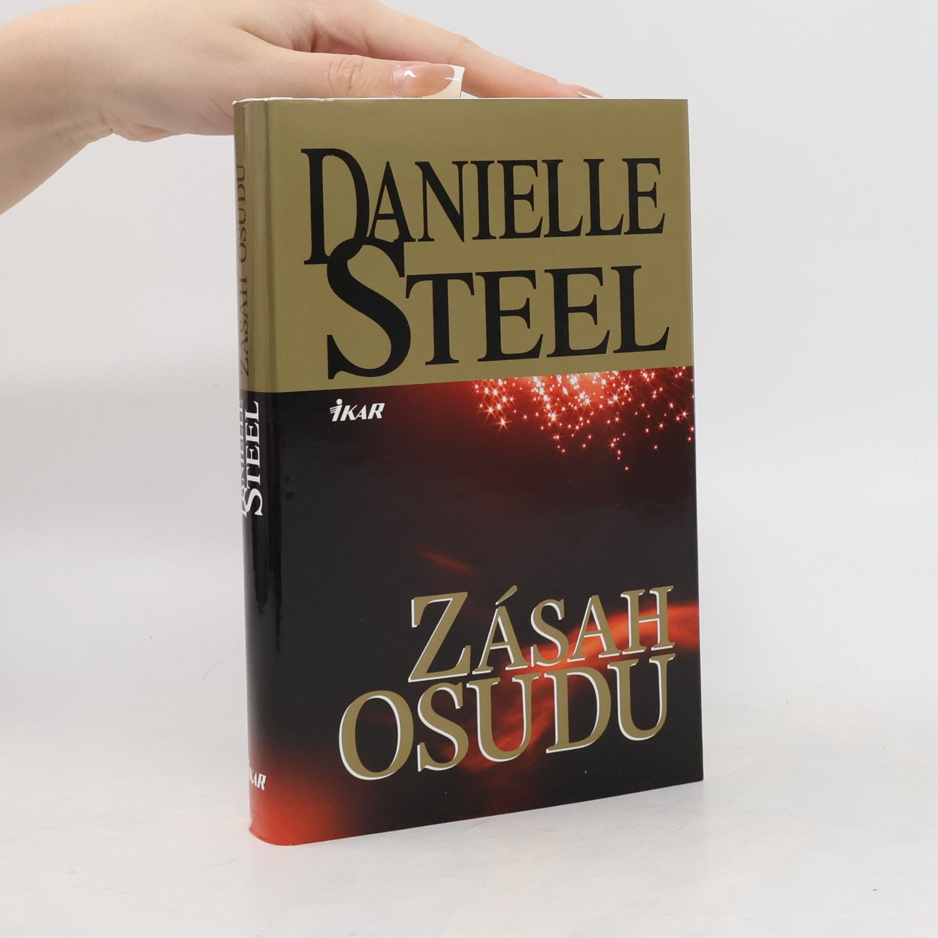 Danielle Steel Zásah osudu
