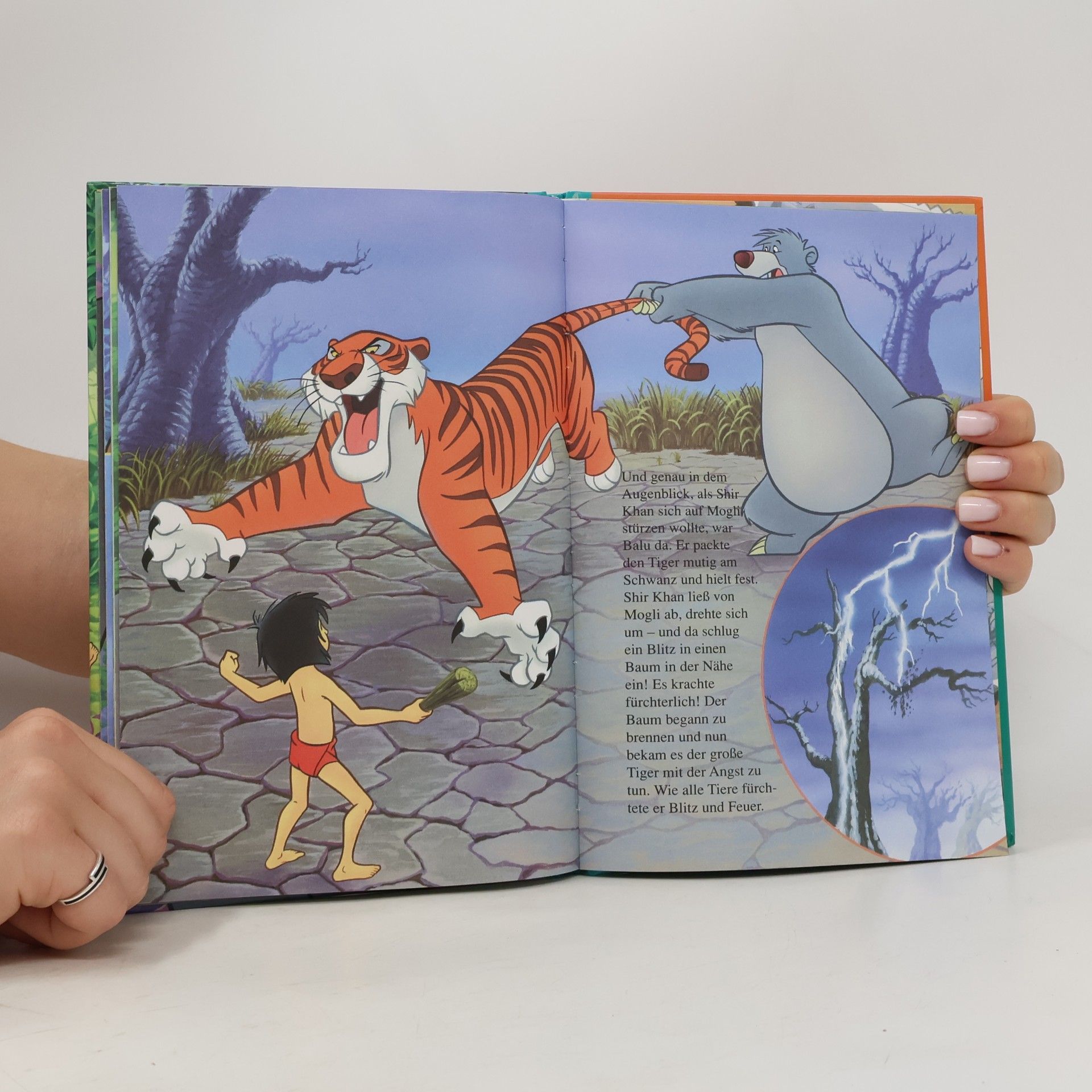Walt Disney Das Dschungelbuch