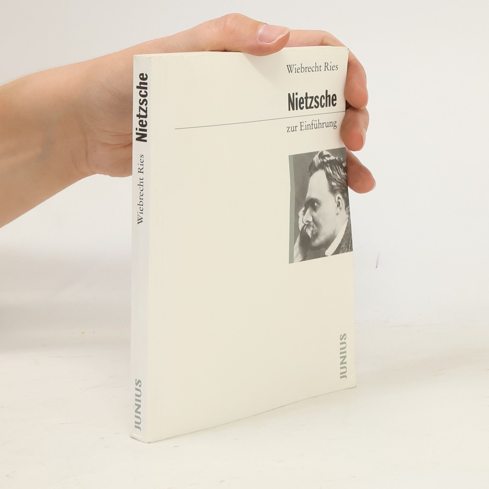 Wiebrecht Ries Nietzsche zur Einführung