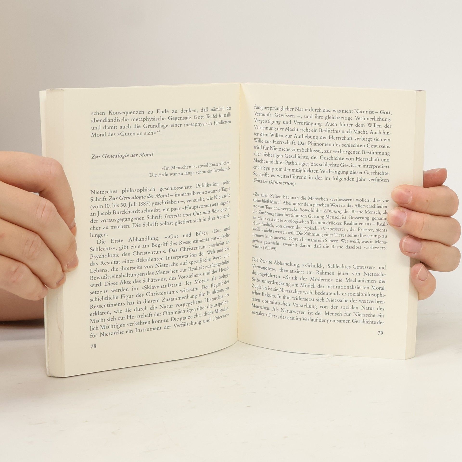Wiebrecht Ries Nietzsche zur Einführung