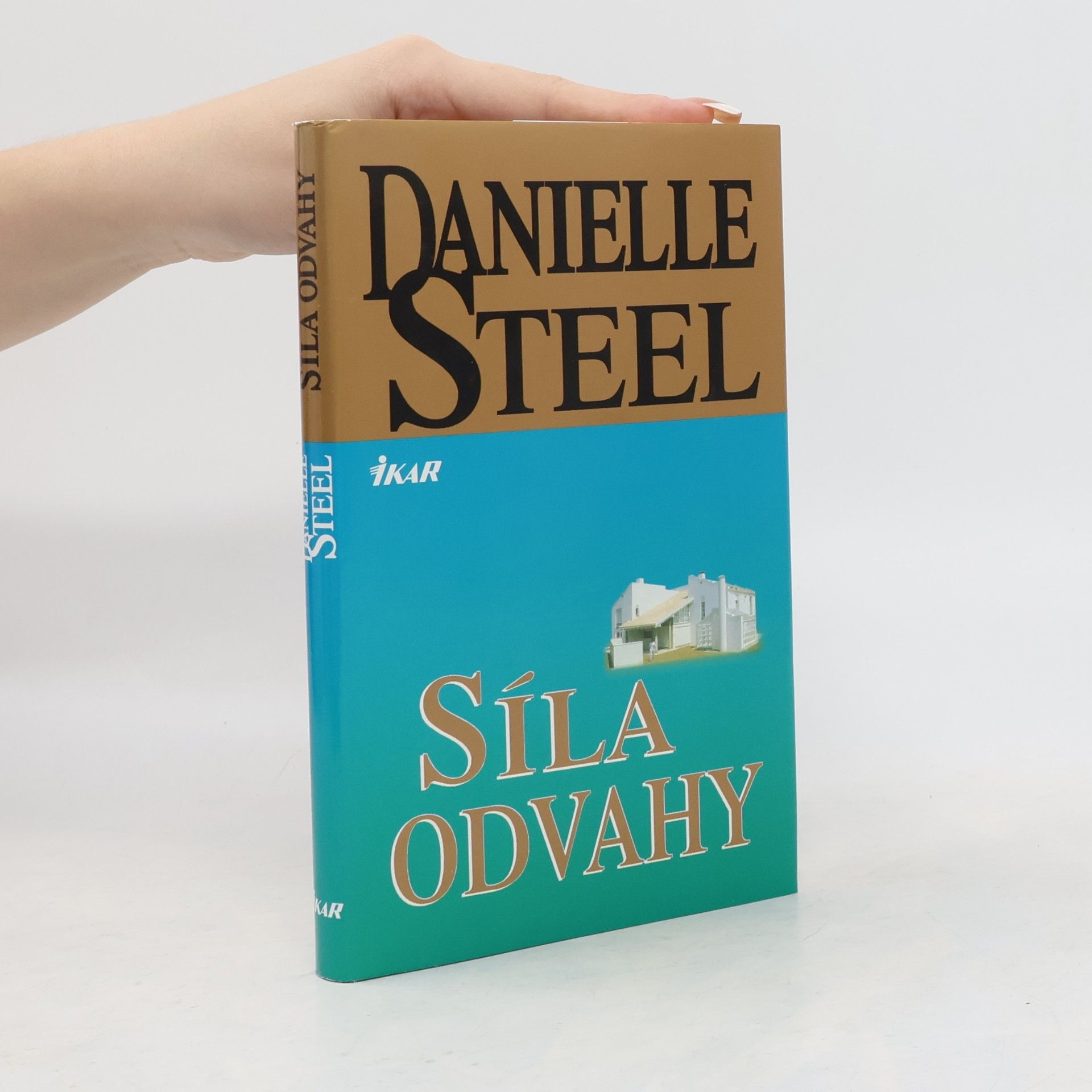 Danielle Steel Síla odvahy