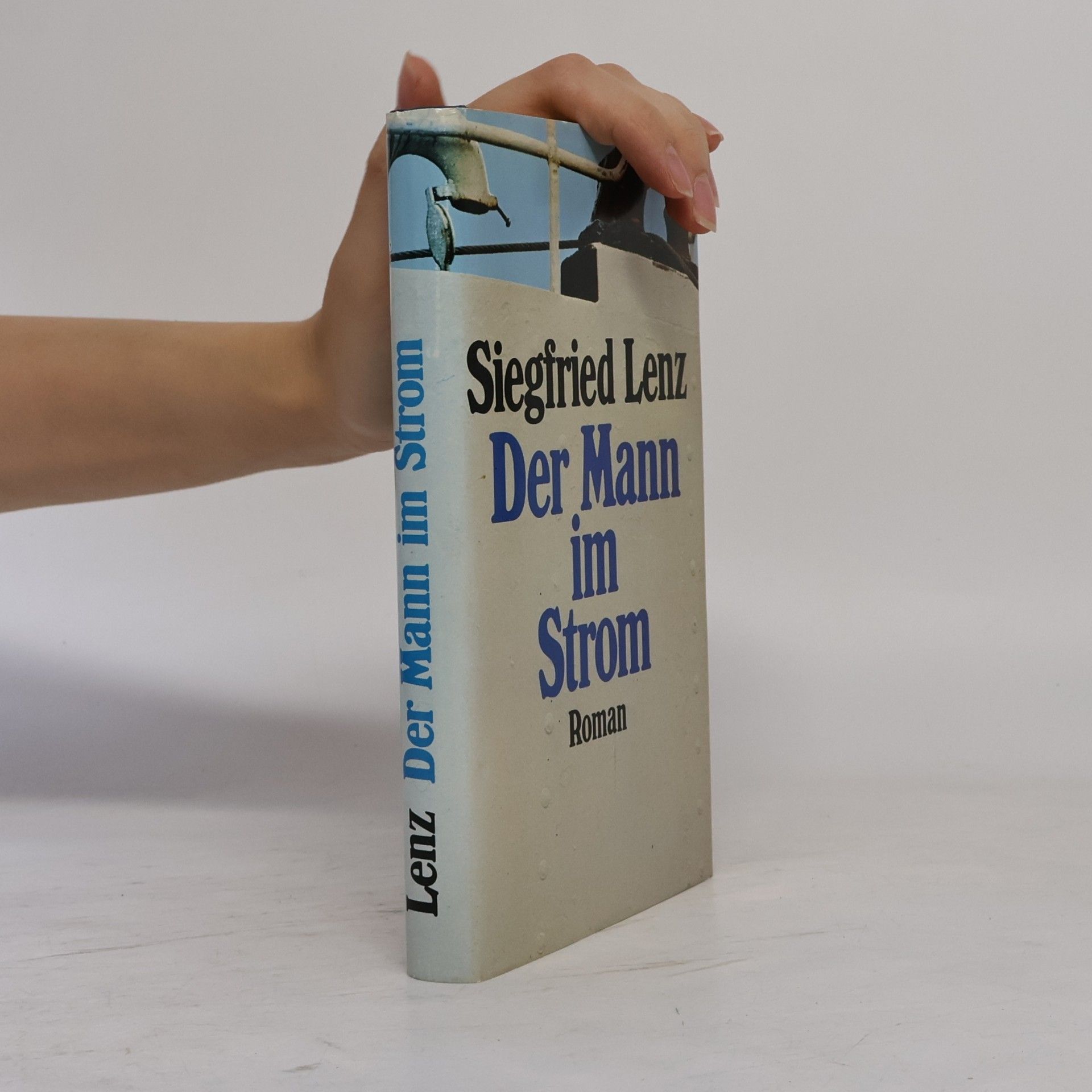 Siegfried Lenz Der Mann im Strom