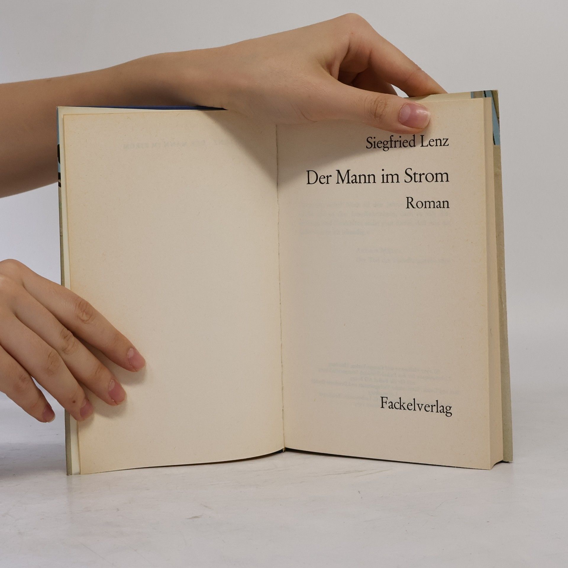 Siegfried Lenz Der Mann im Strom