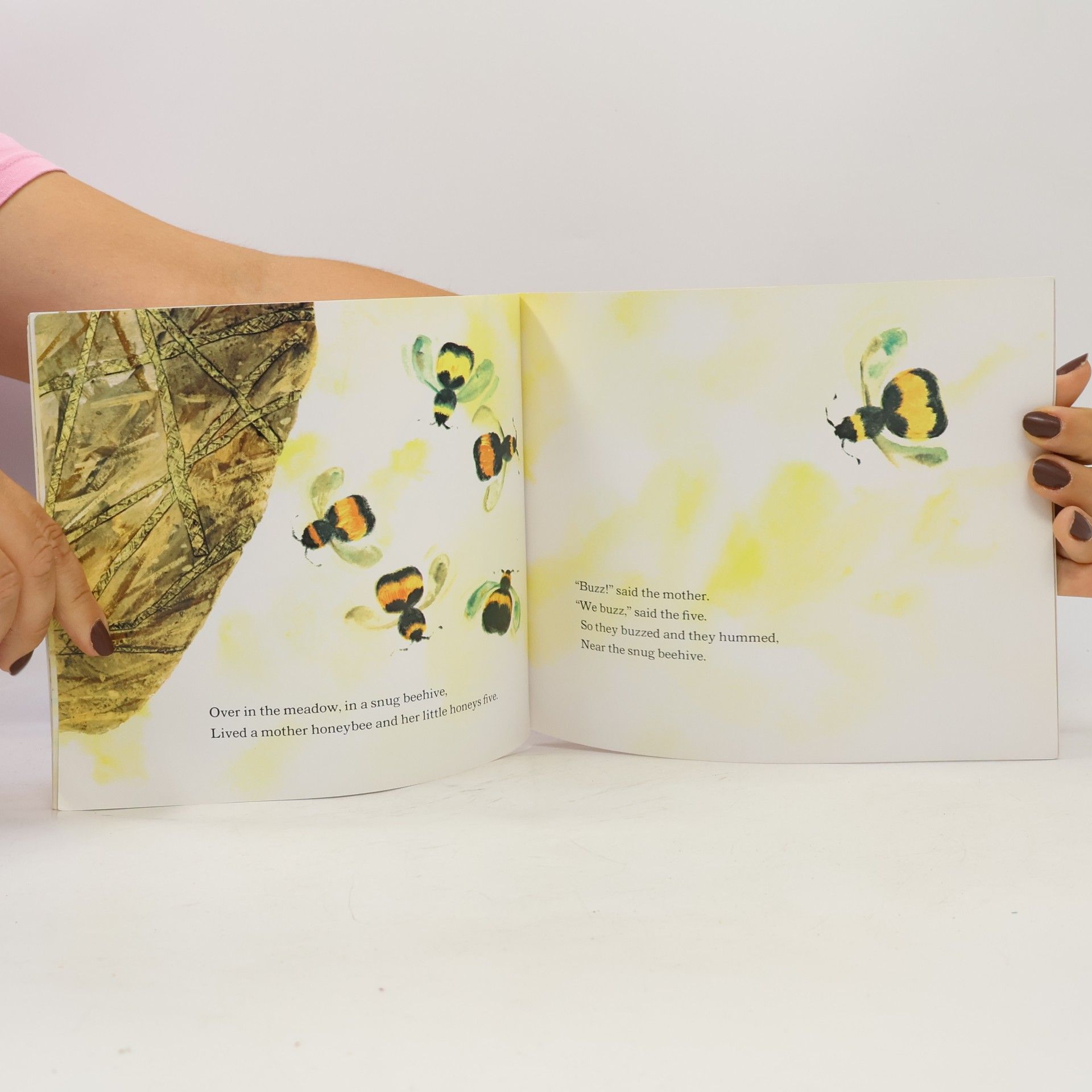 Ezra Jack Keats Over in the Meadow