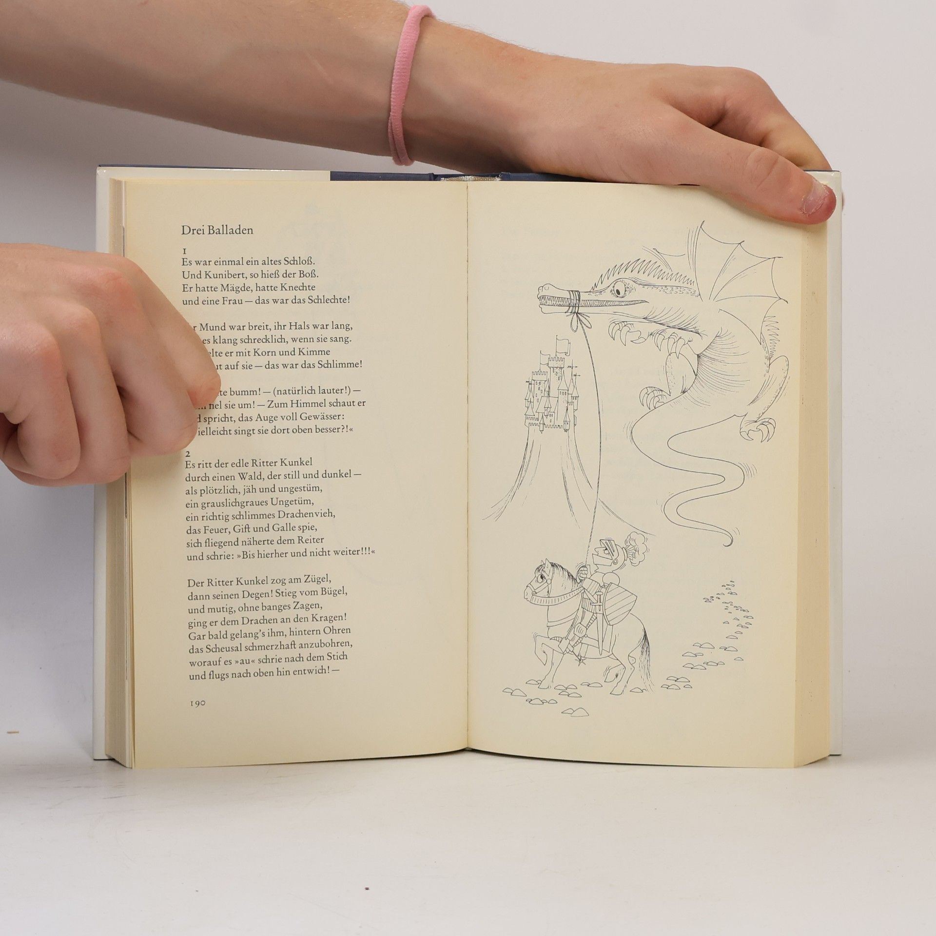 Heinz Erhardt Das Grosse Heinz Erhardt Buch