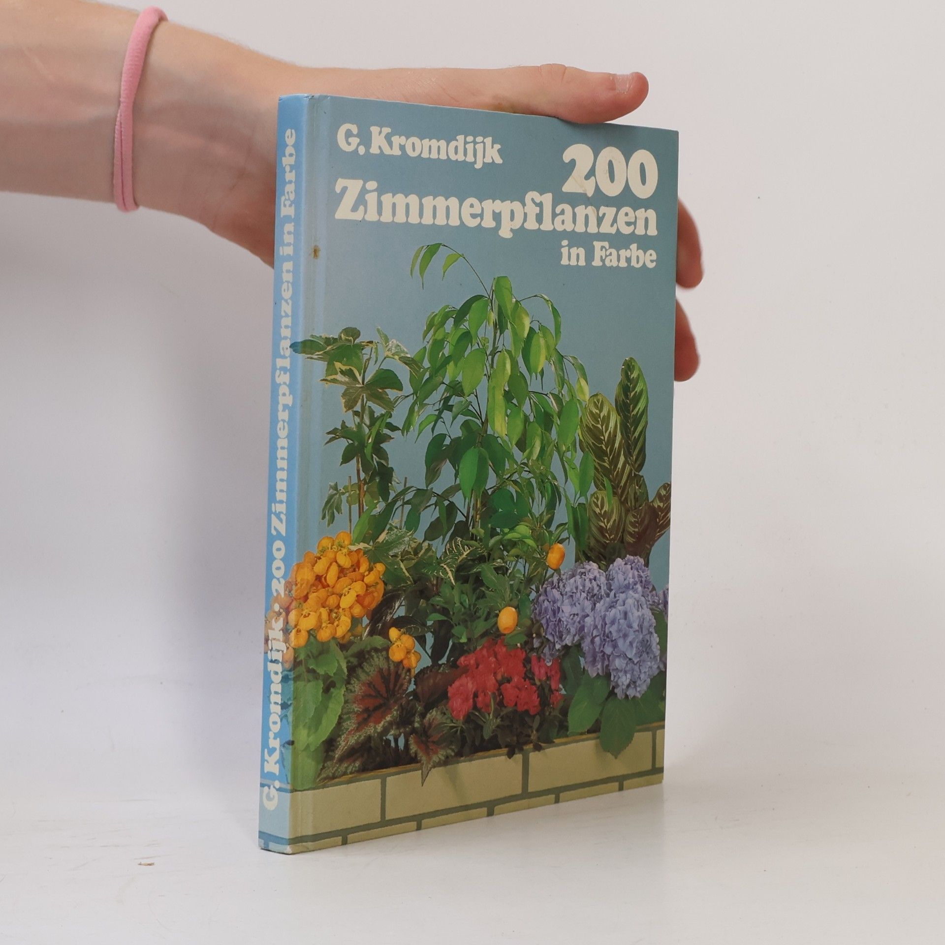 G. Kromdijk 200 Zimmerpflanzen in Farbe