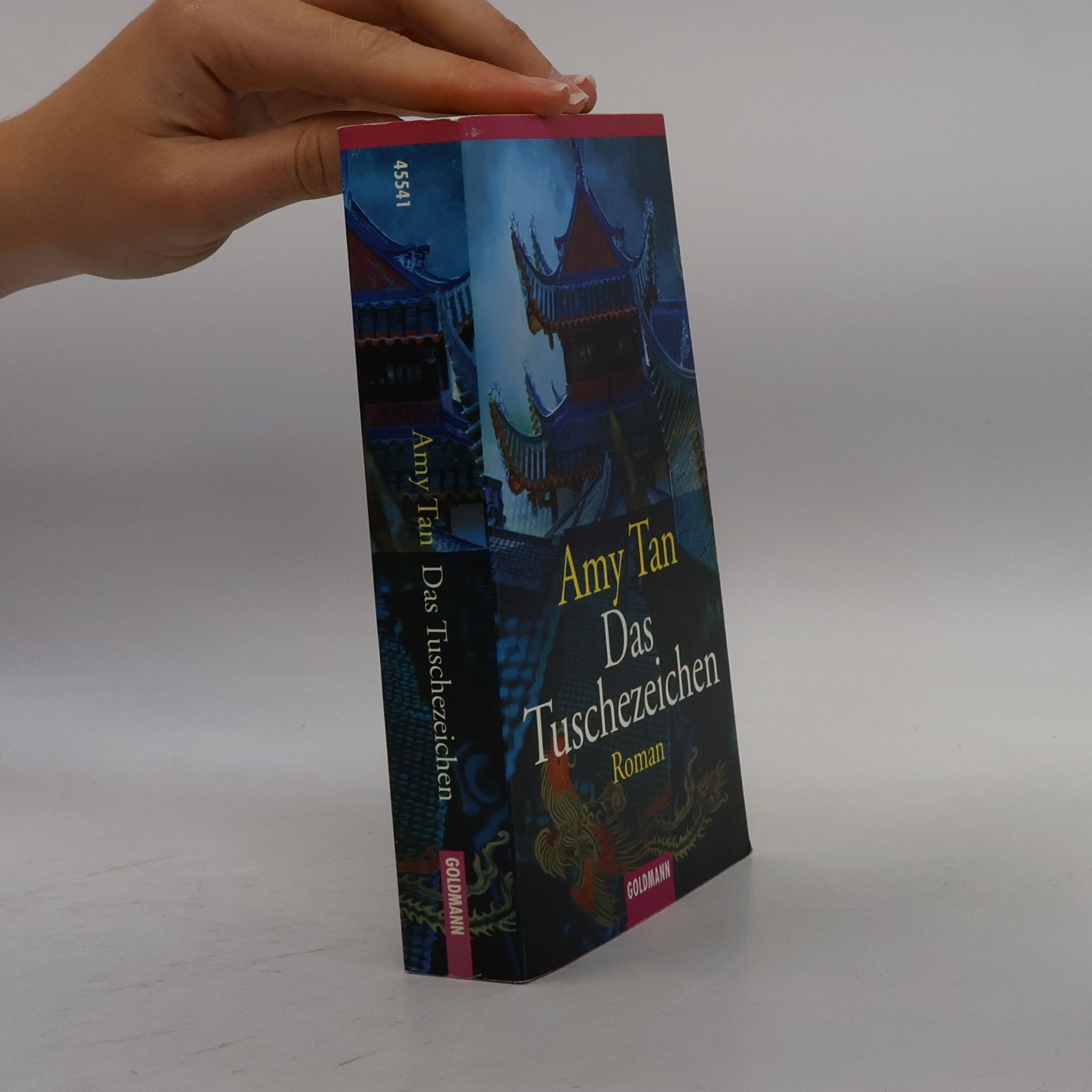 Amy Tan Das Tuschezeichen