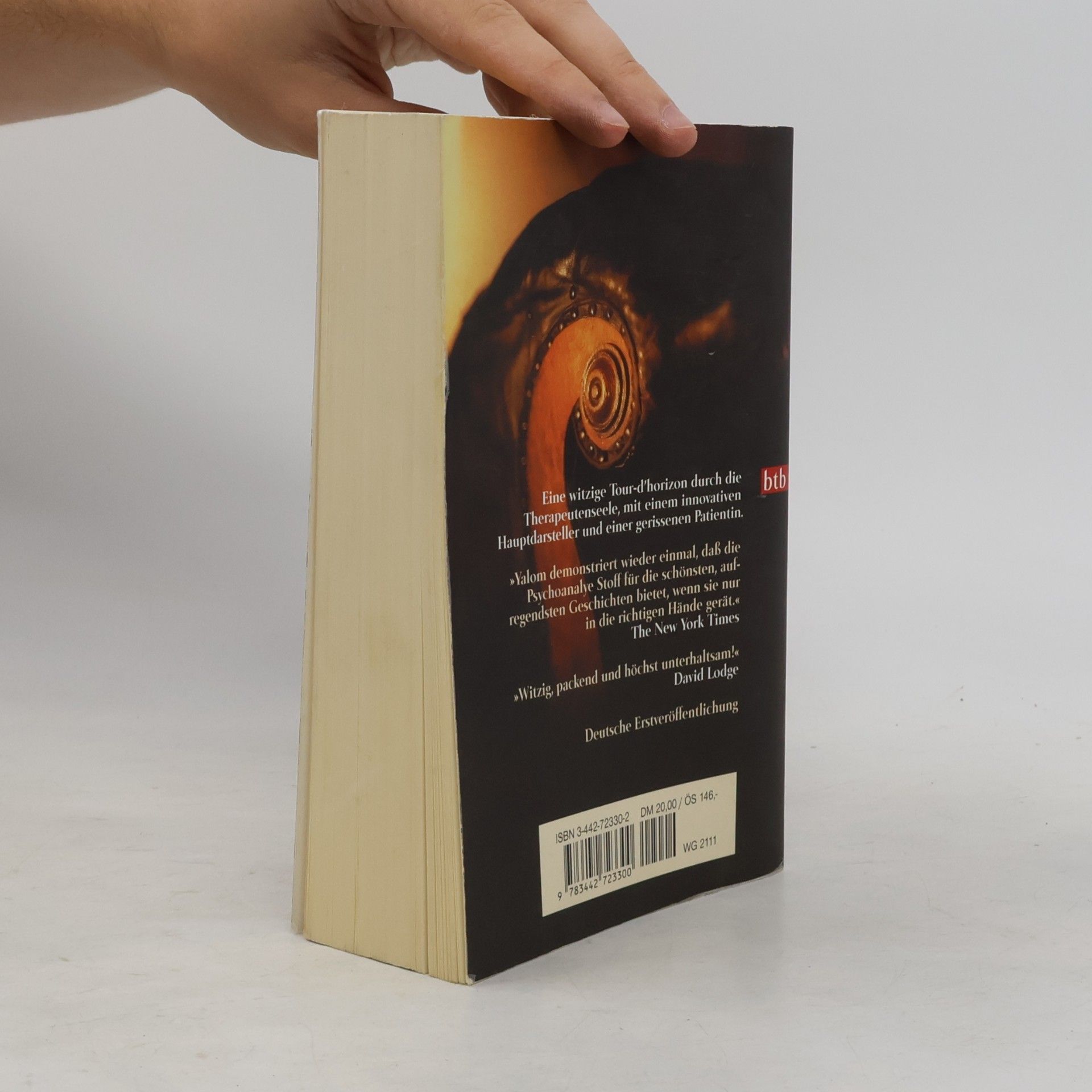 Irvin D. Yalom Die rote Couch