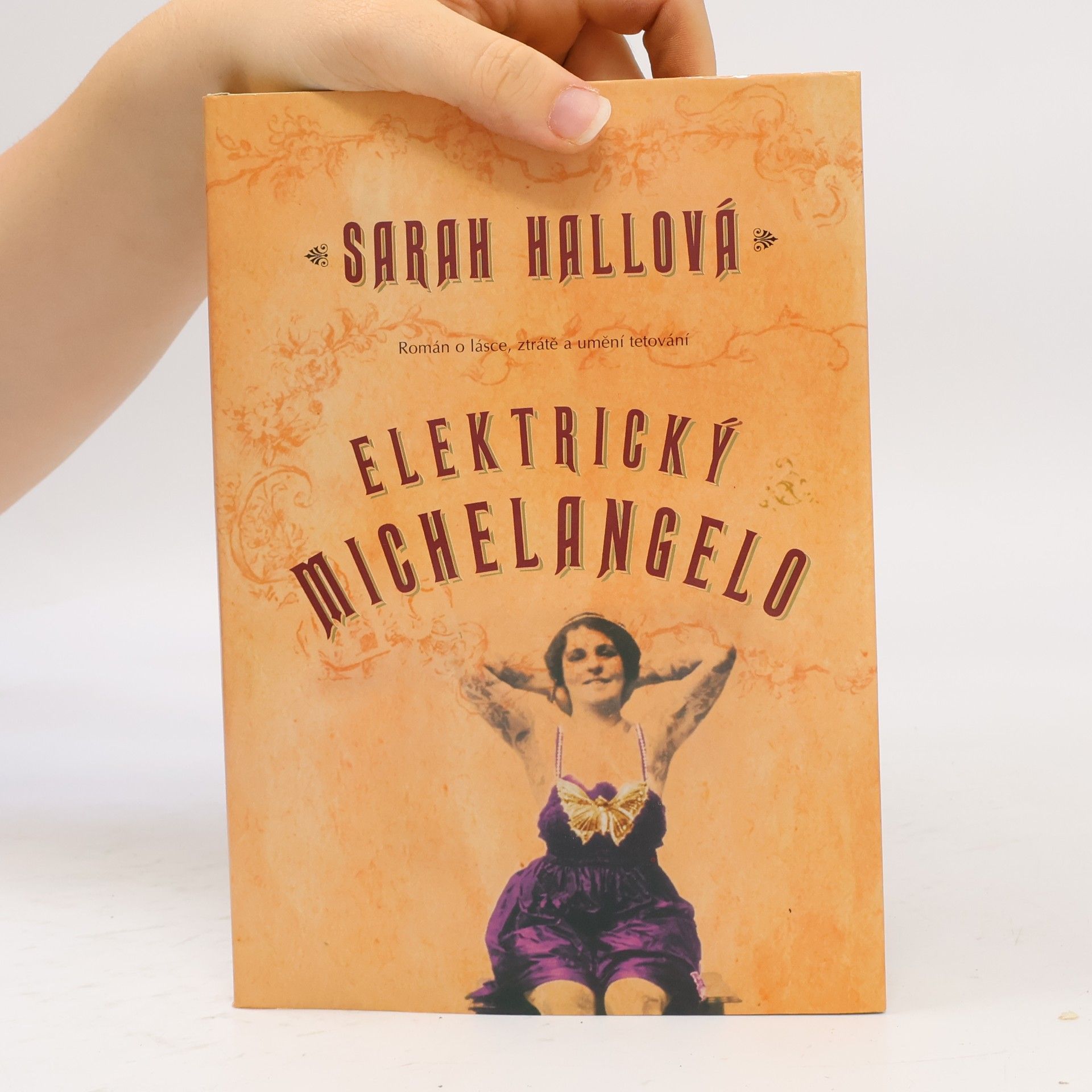 Sarah Hall Elektrický Michelangelo