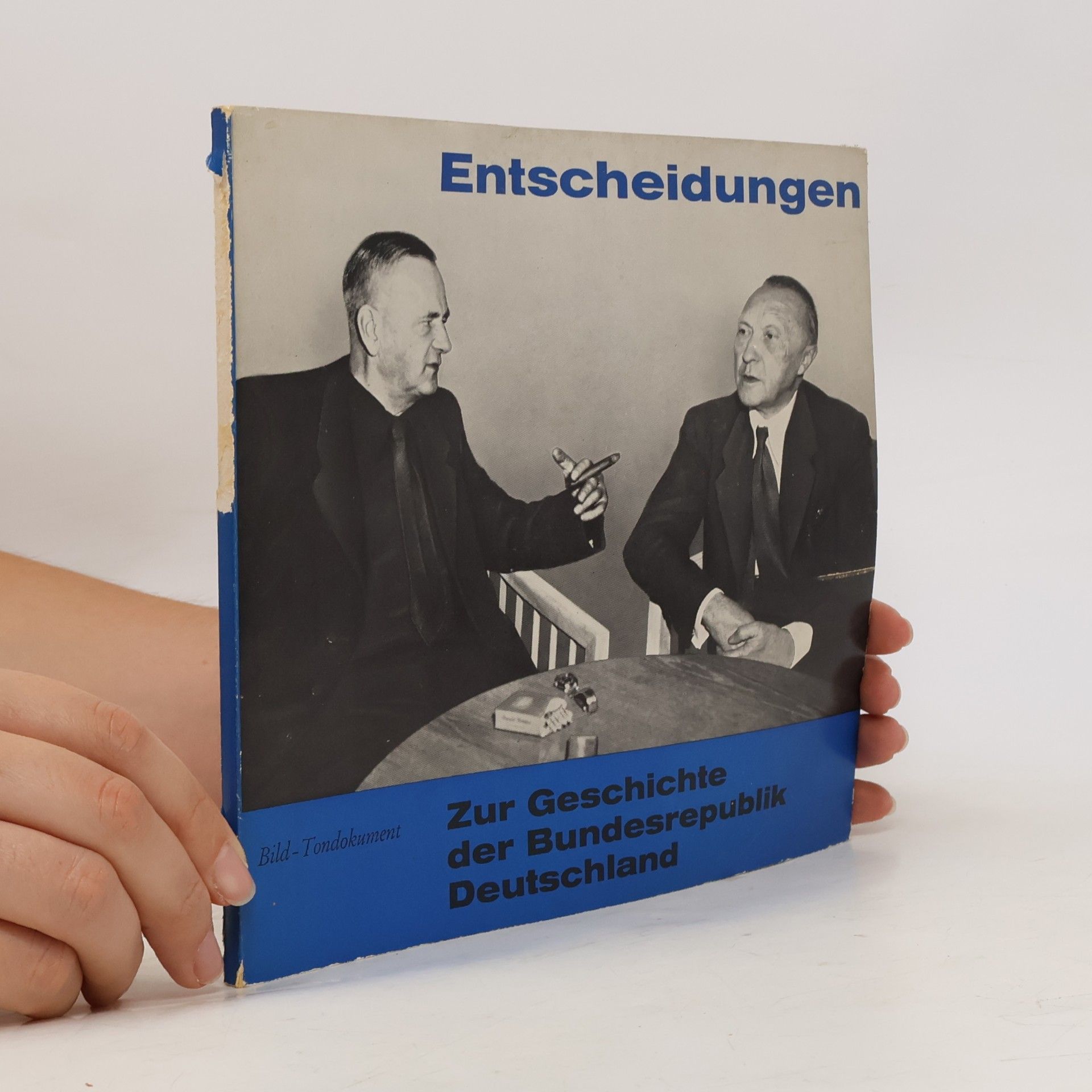 Autorenkollektiv Entscheidungen, Zur Geschichte der Bundesrepublik Deutschland