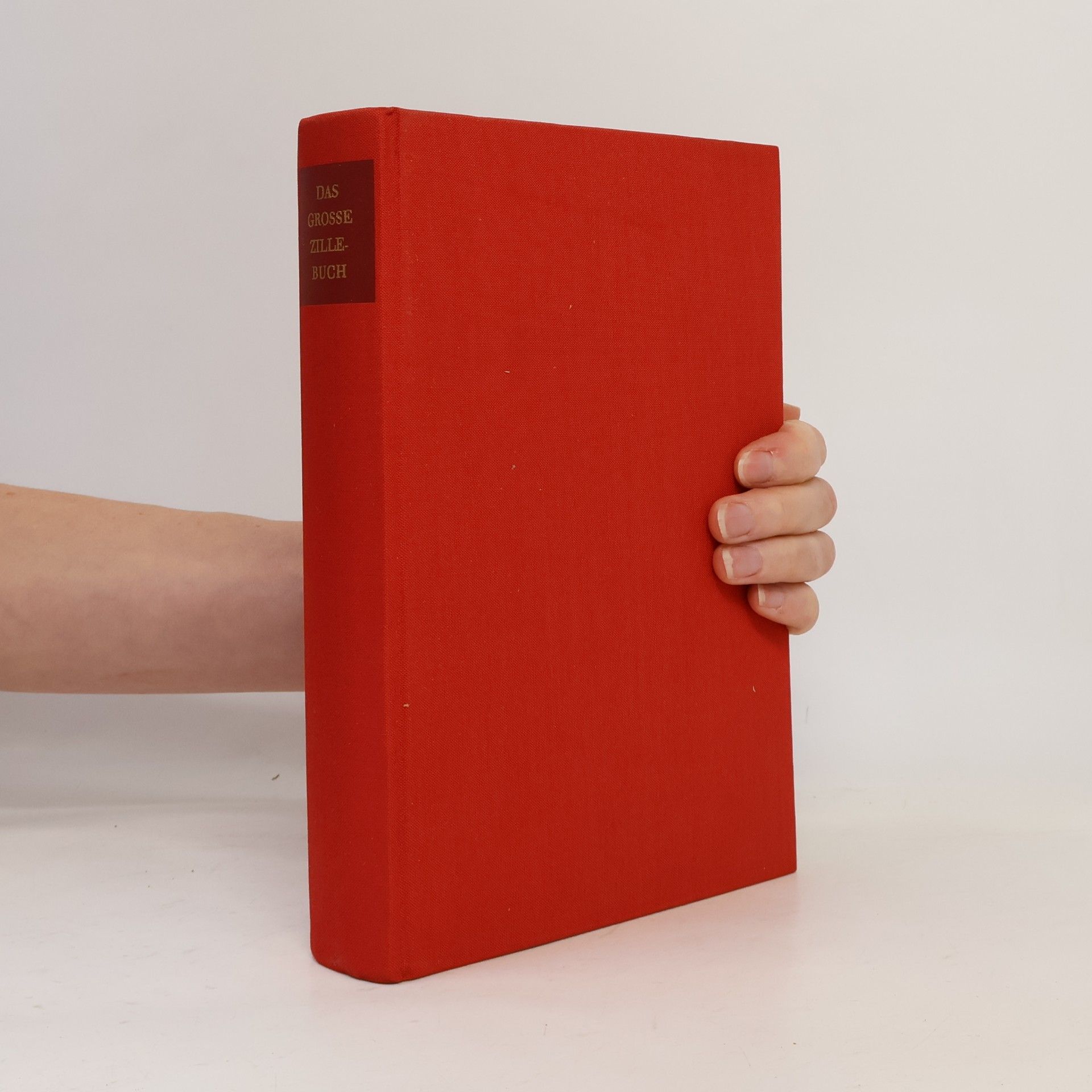 Das grosse Zillebuch