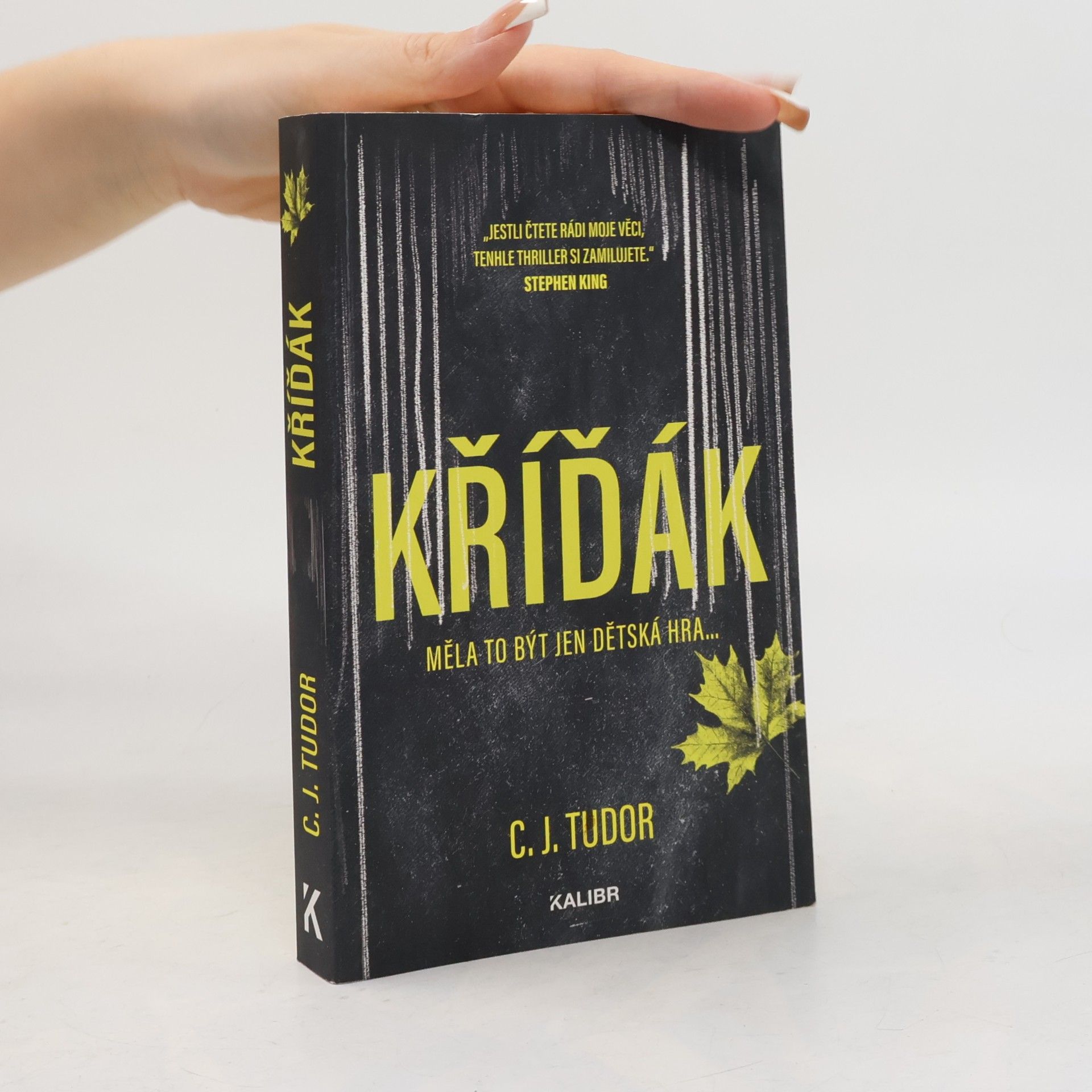 C.J. Tudor Kříďák