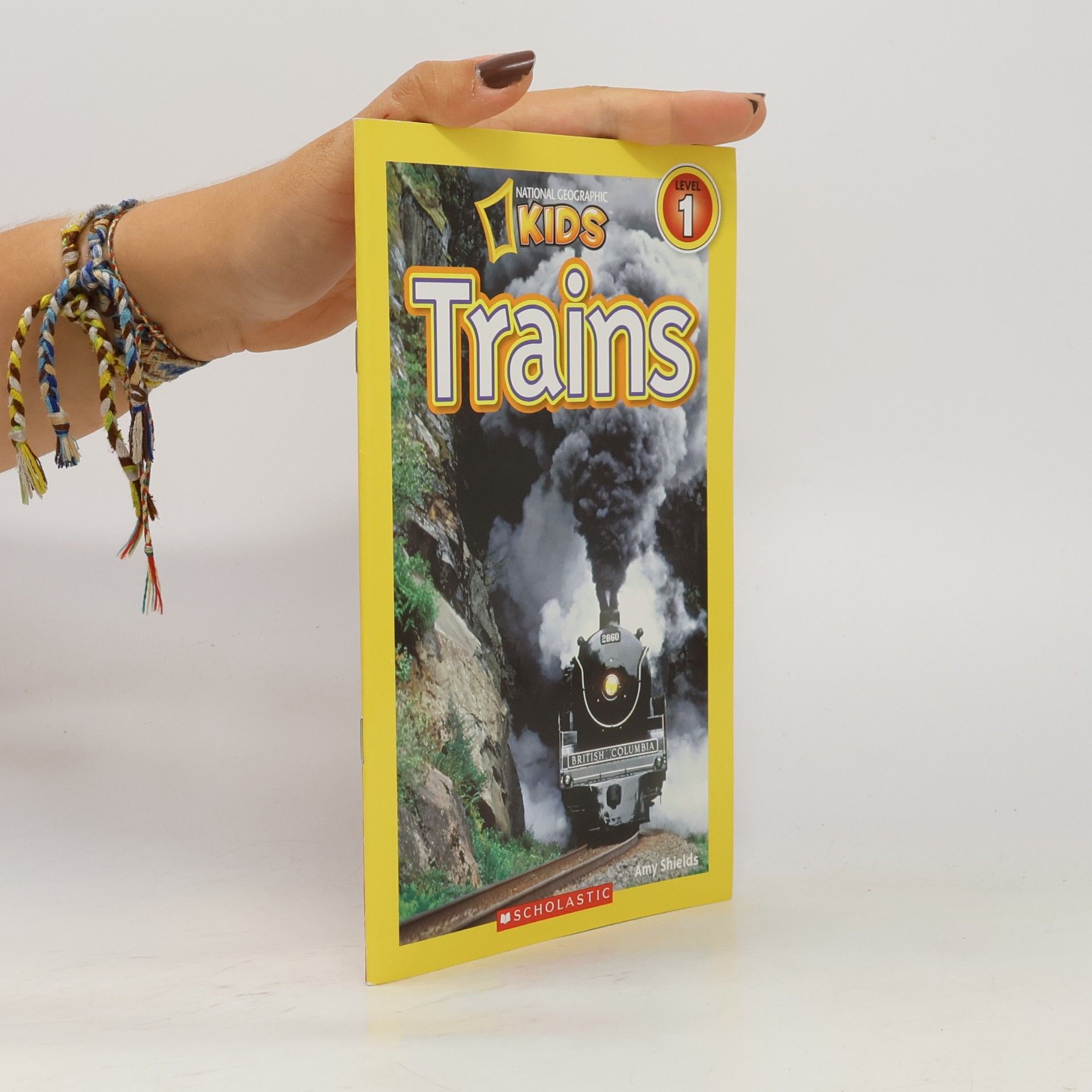 Amy Shields Trains