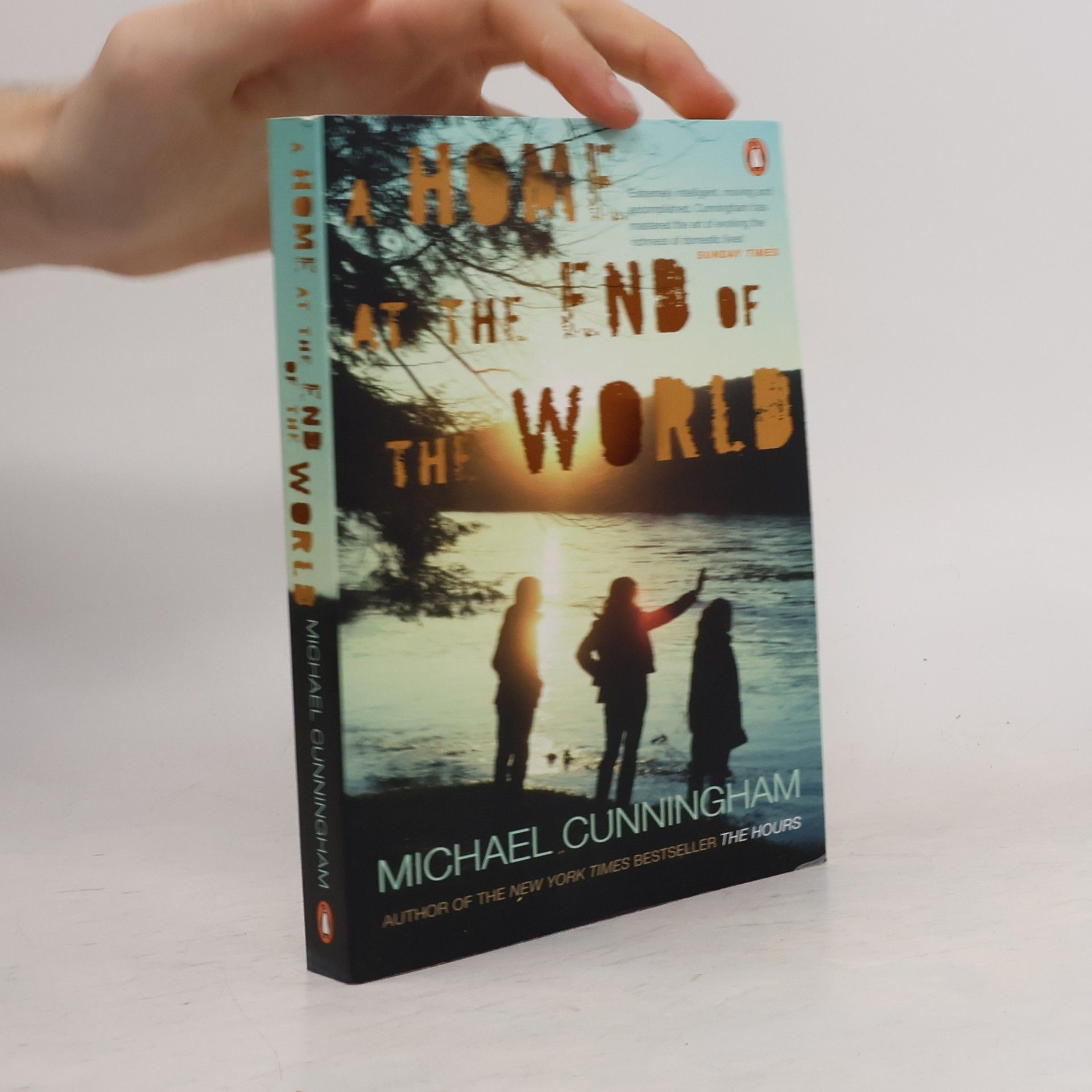 Michael Cunningham A Home at the End of the World