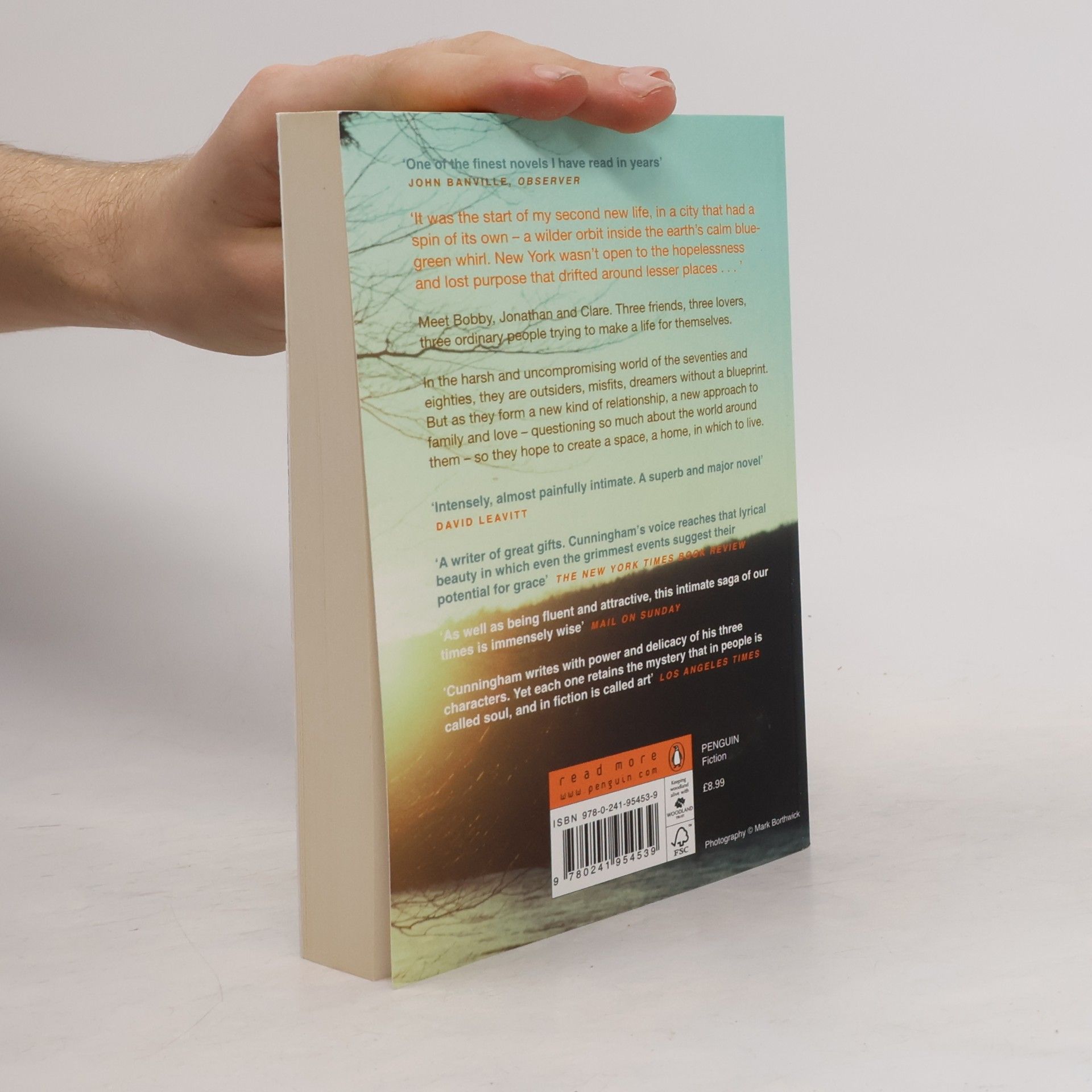 Michael Cunningham A Home at the End of the World