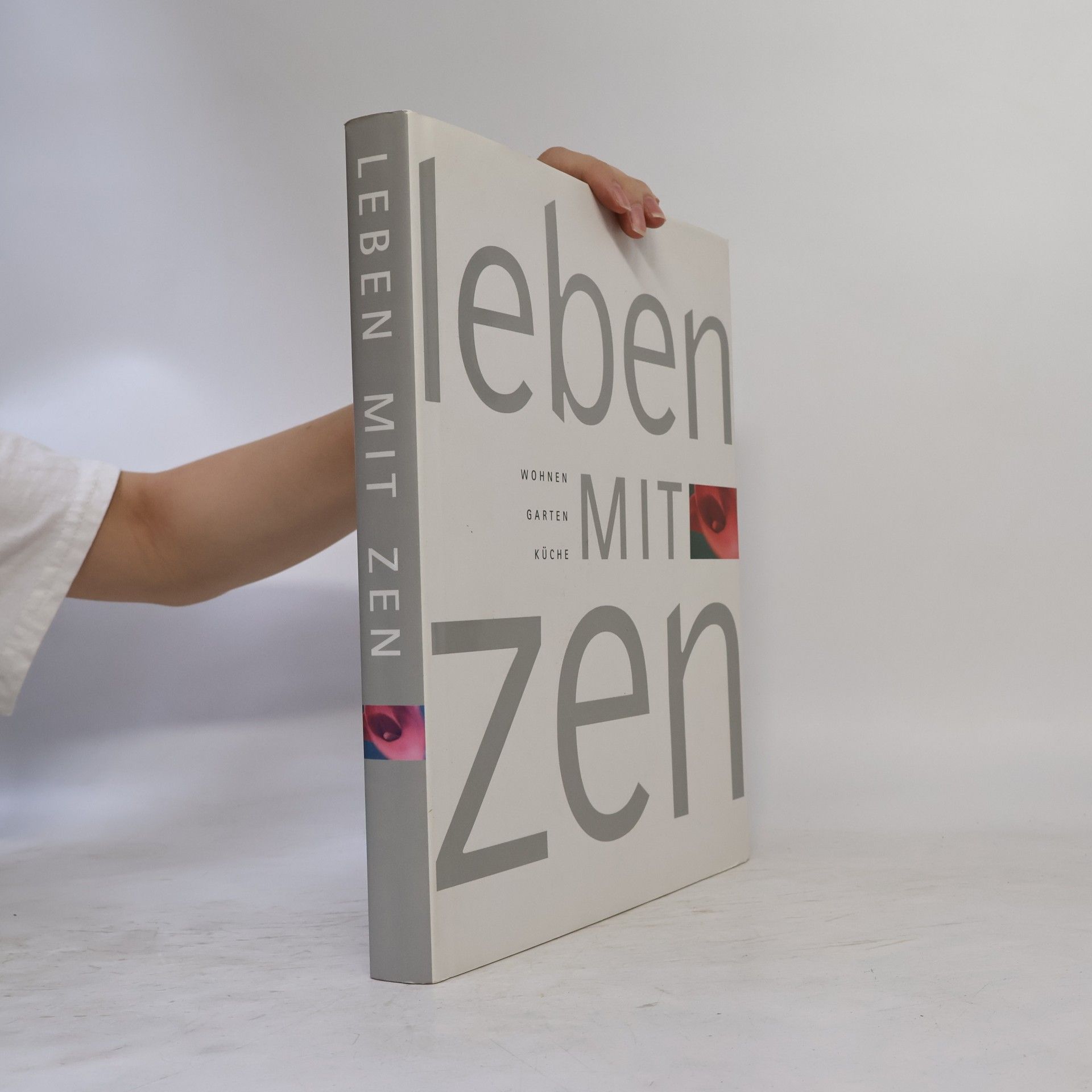 Ou Baholyodhin Leben mit Zen