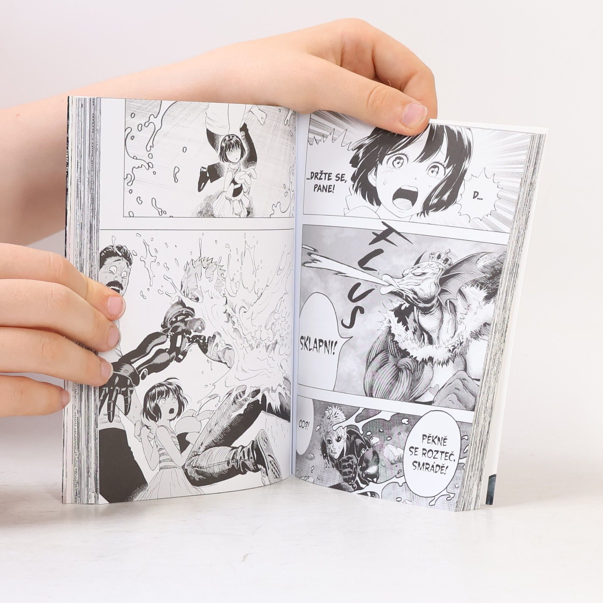 Marek Mikeš One-Punch Man. 05, Sláva poraženým