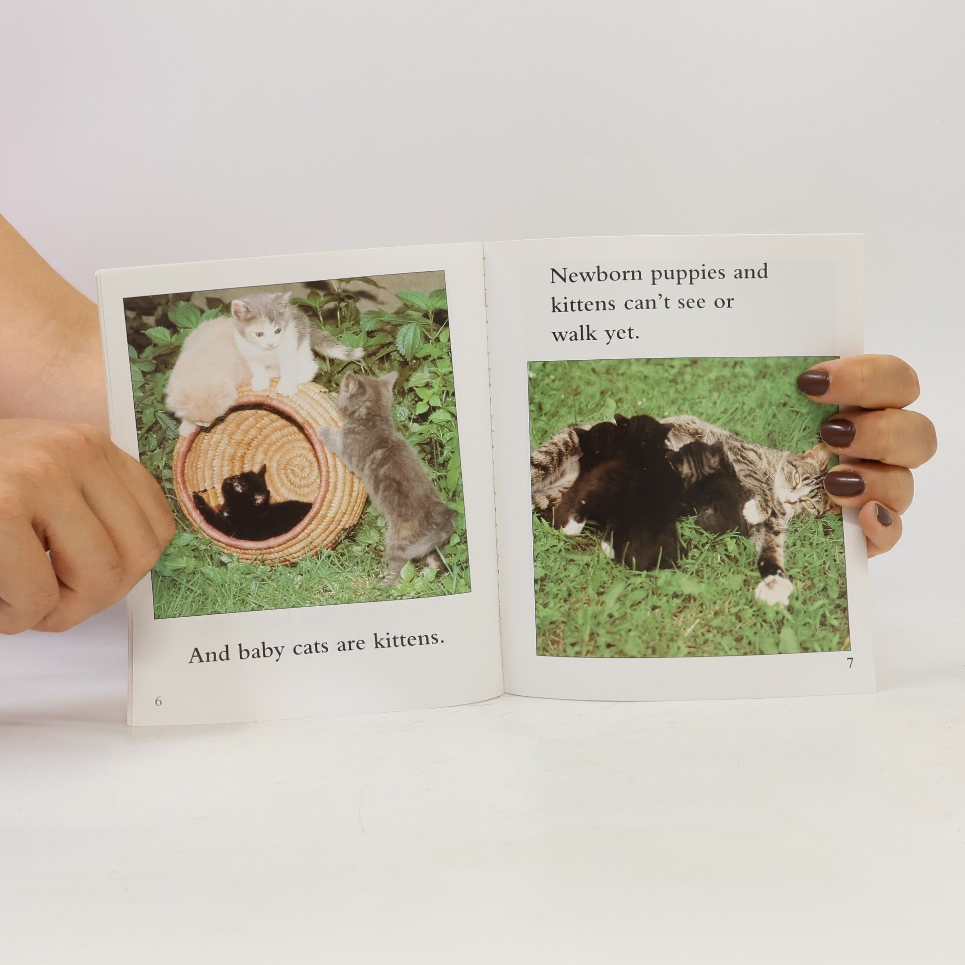 ALLAN FOWLER Cubs & Colts & Calves & Kittens