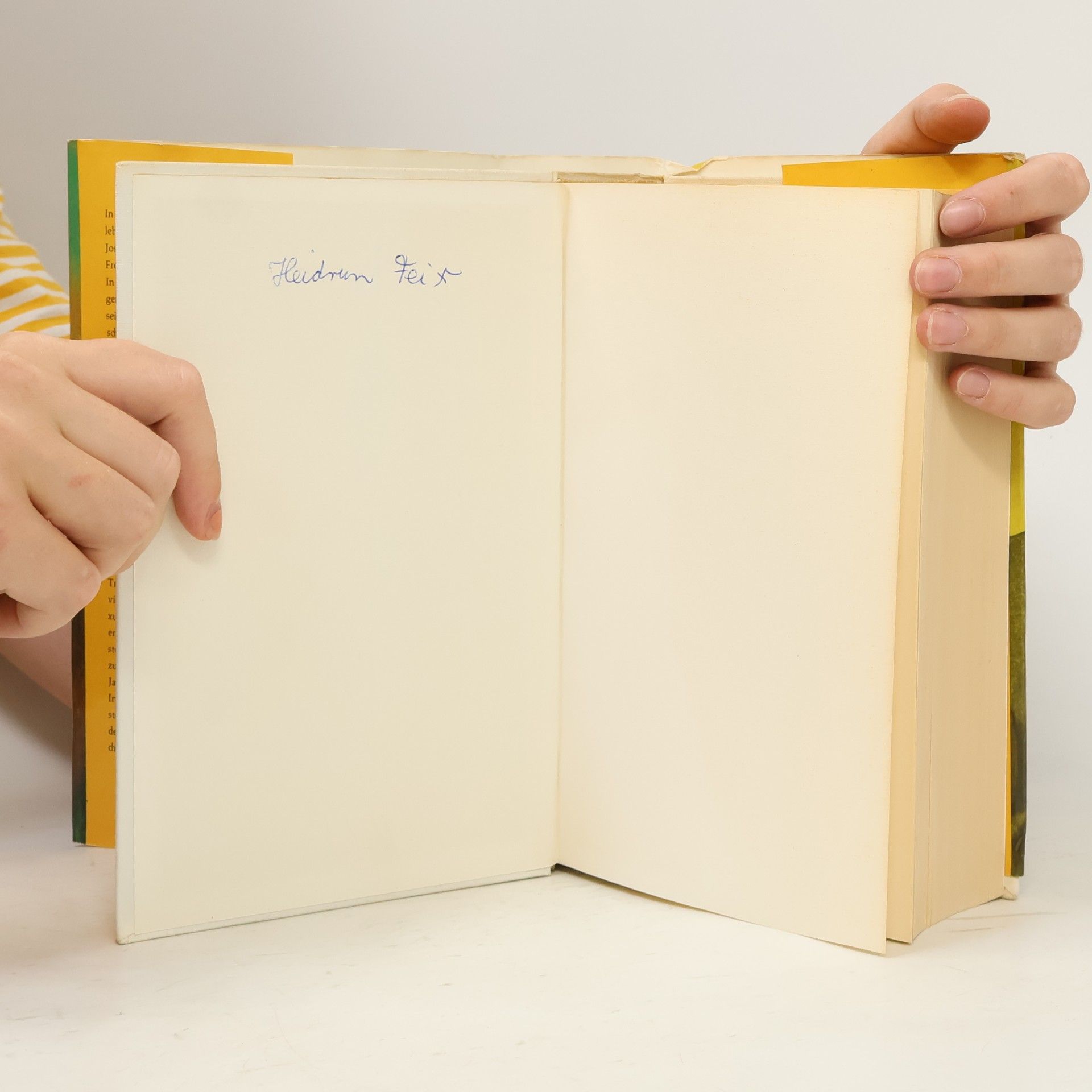 Irving Stone Der Seele dunkle Pfade
