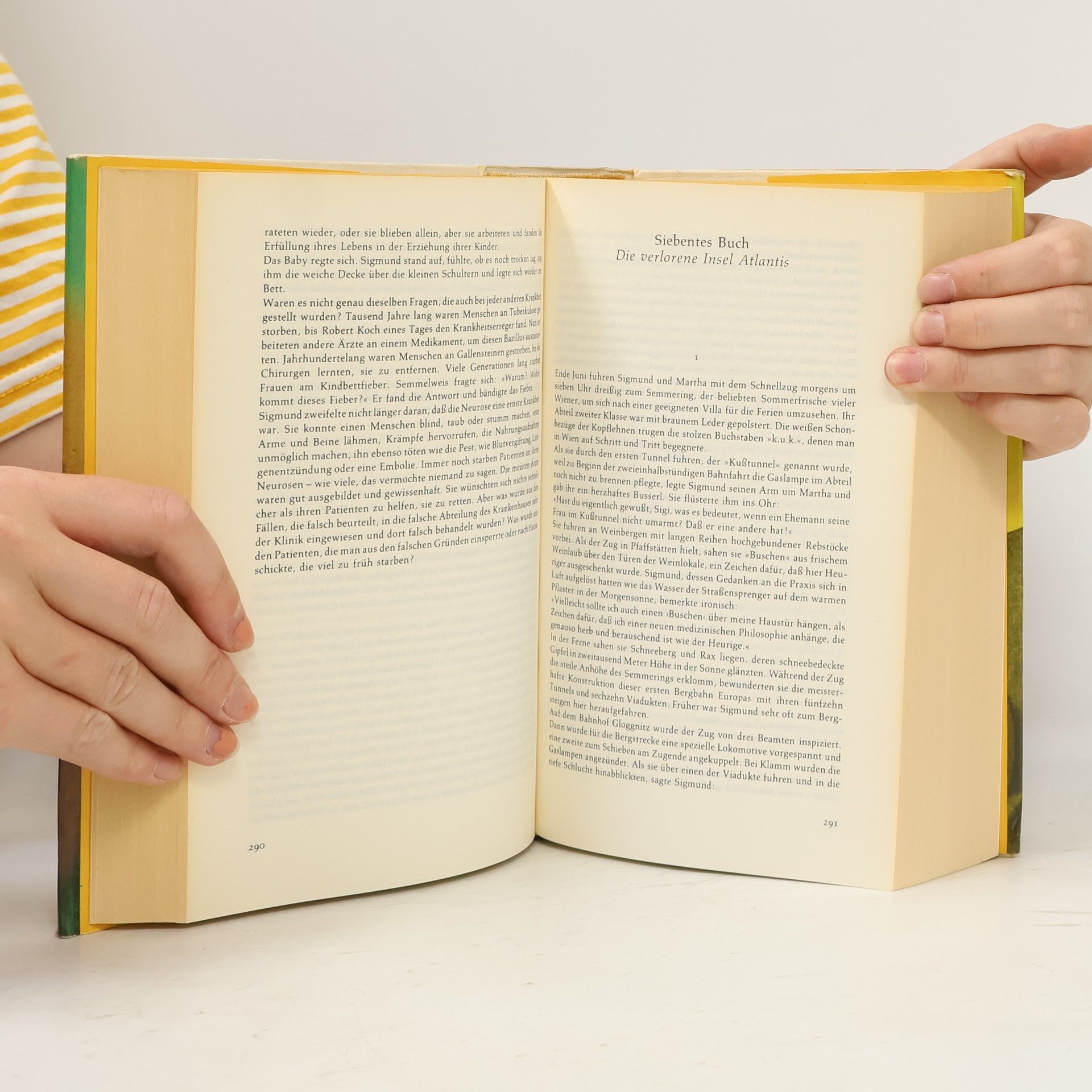 Irving Stone Der Seele dunkle Pfade