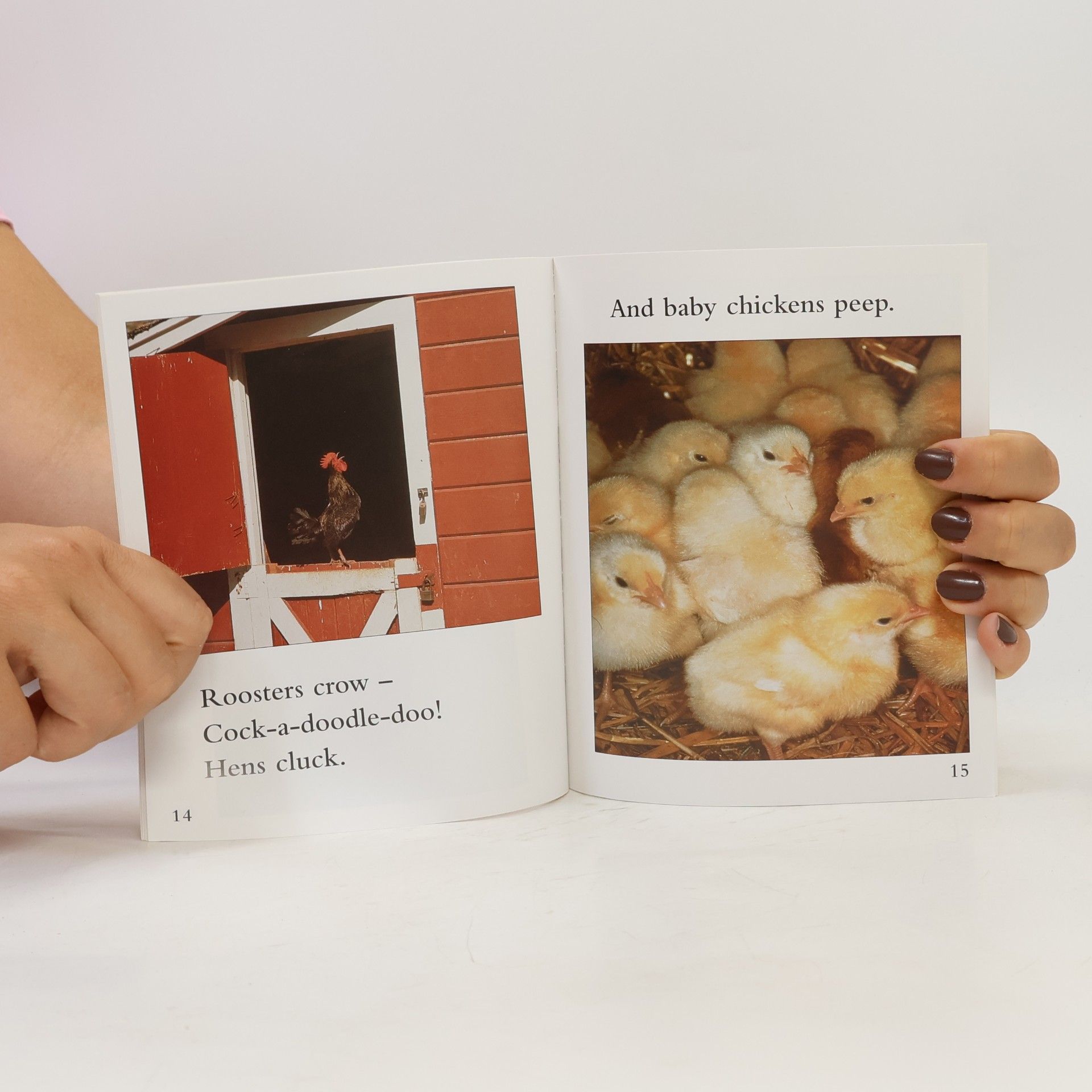 ALLAN FOWLER Rookie Read-About Science: The Chicken or the Egg?