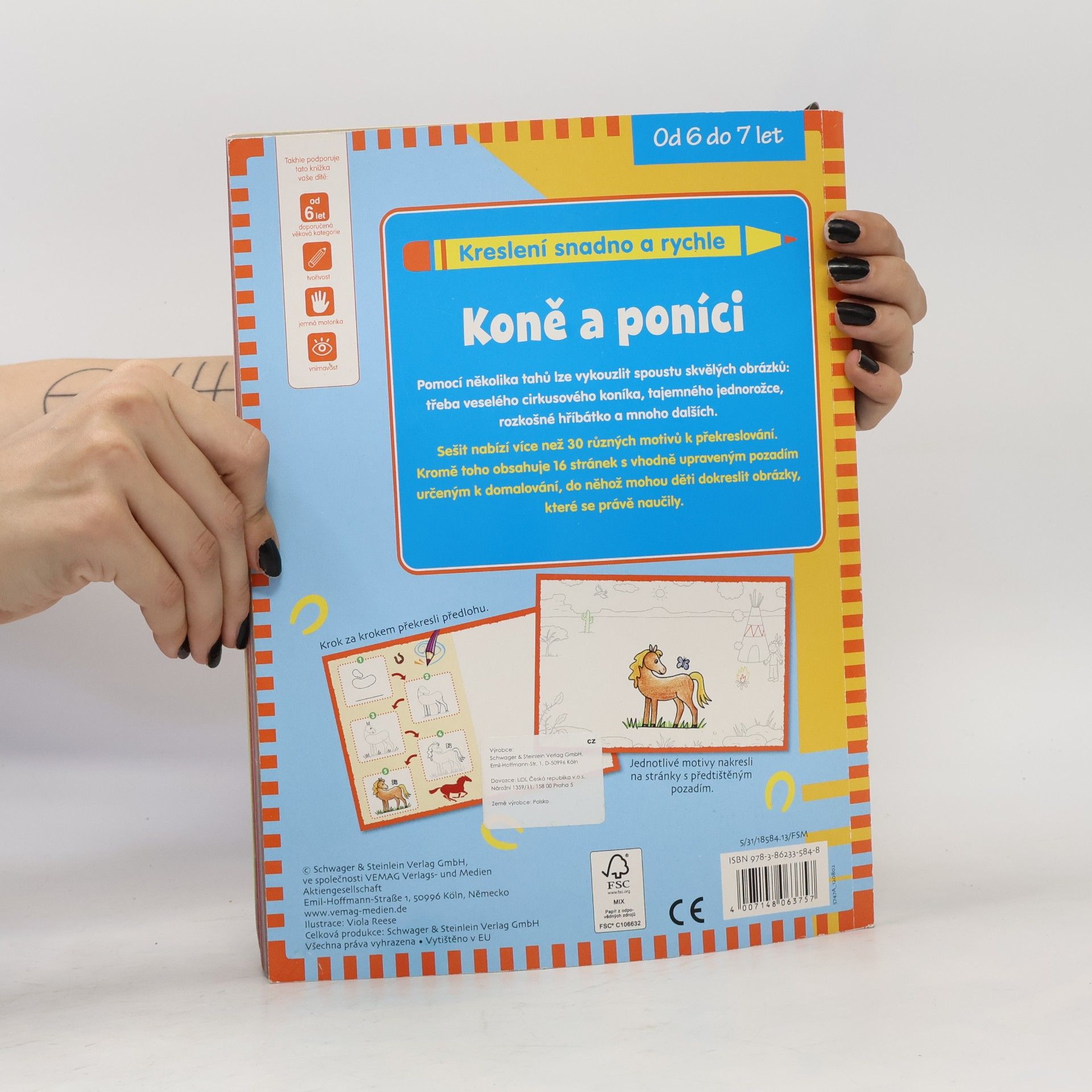 Autorenkollektiv Koně a poníci - kreslíme snadno a rychle
