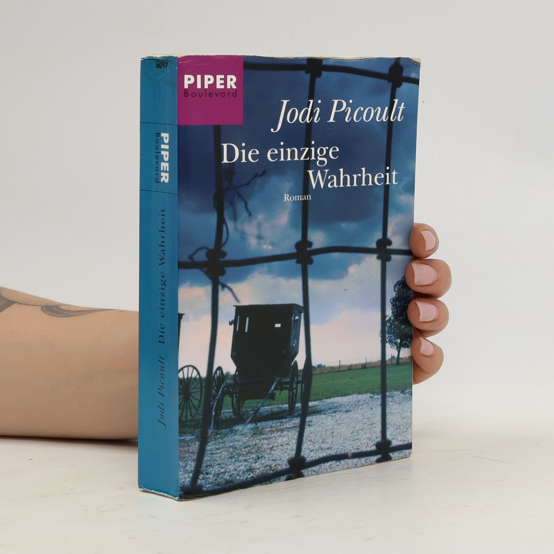Jodi Picoult Die einzige Wahrheit