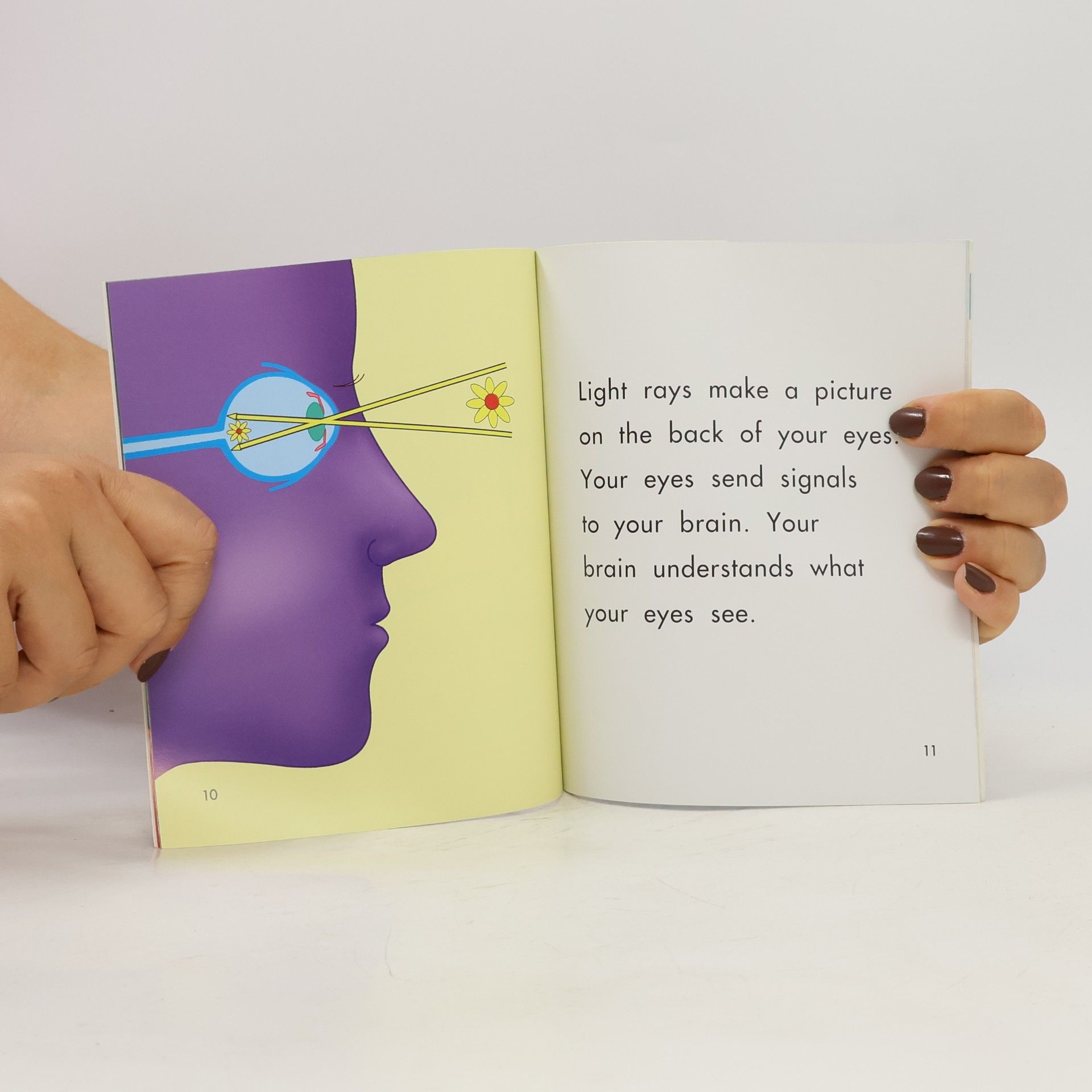 Helen Frost Senses: Seeing