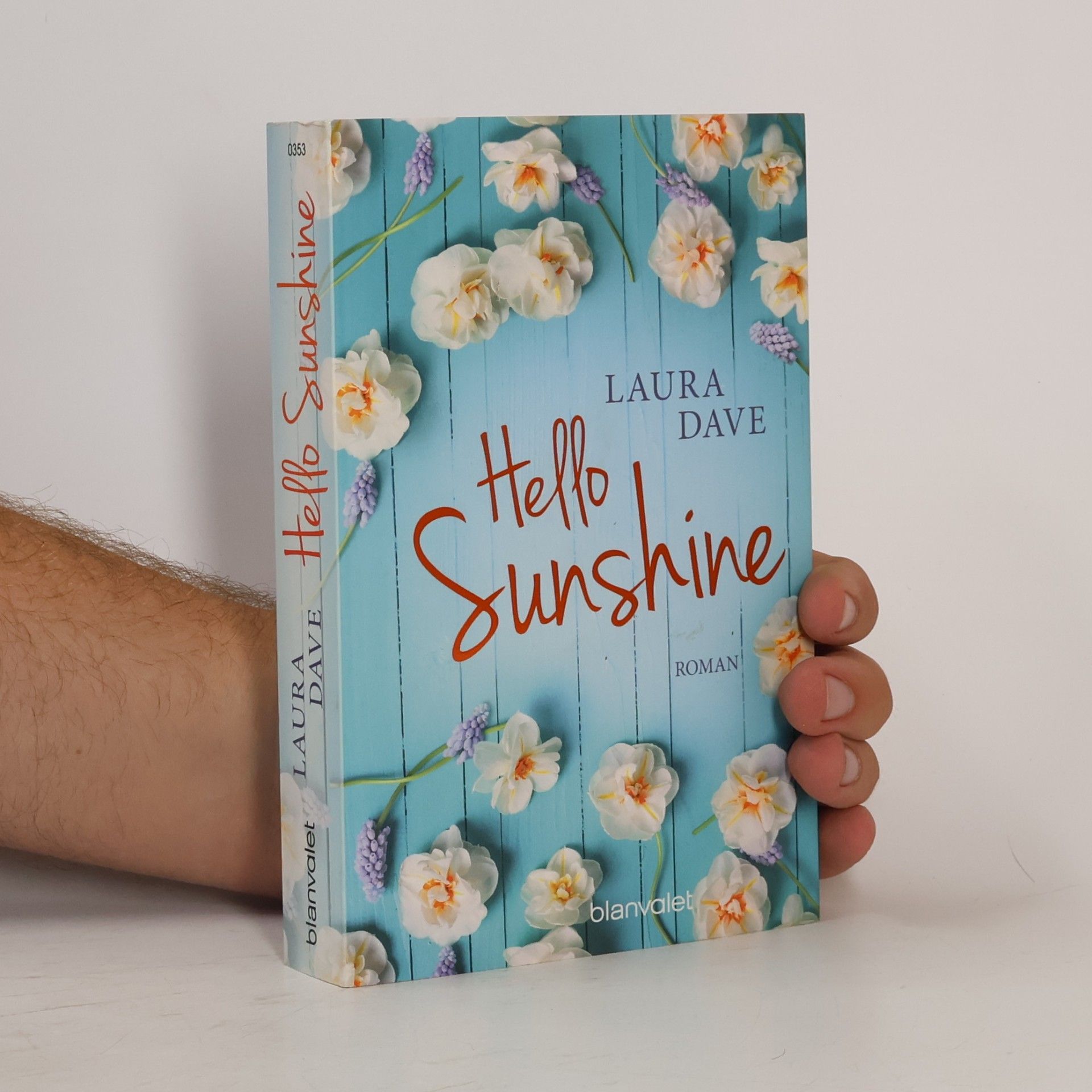 Laura Dave Hello Sunshine