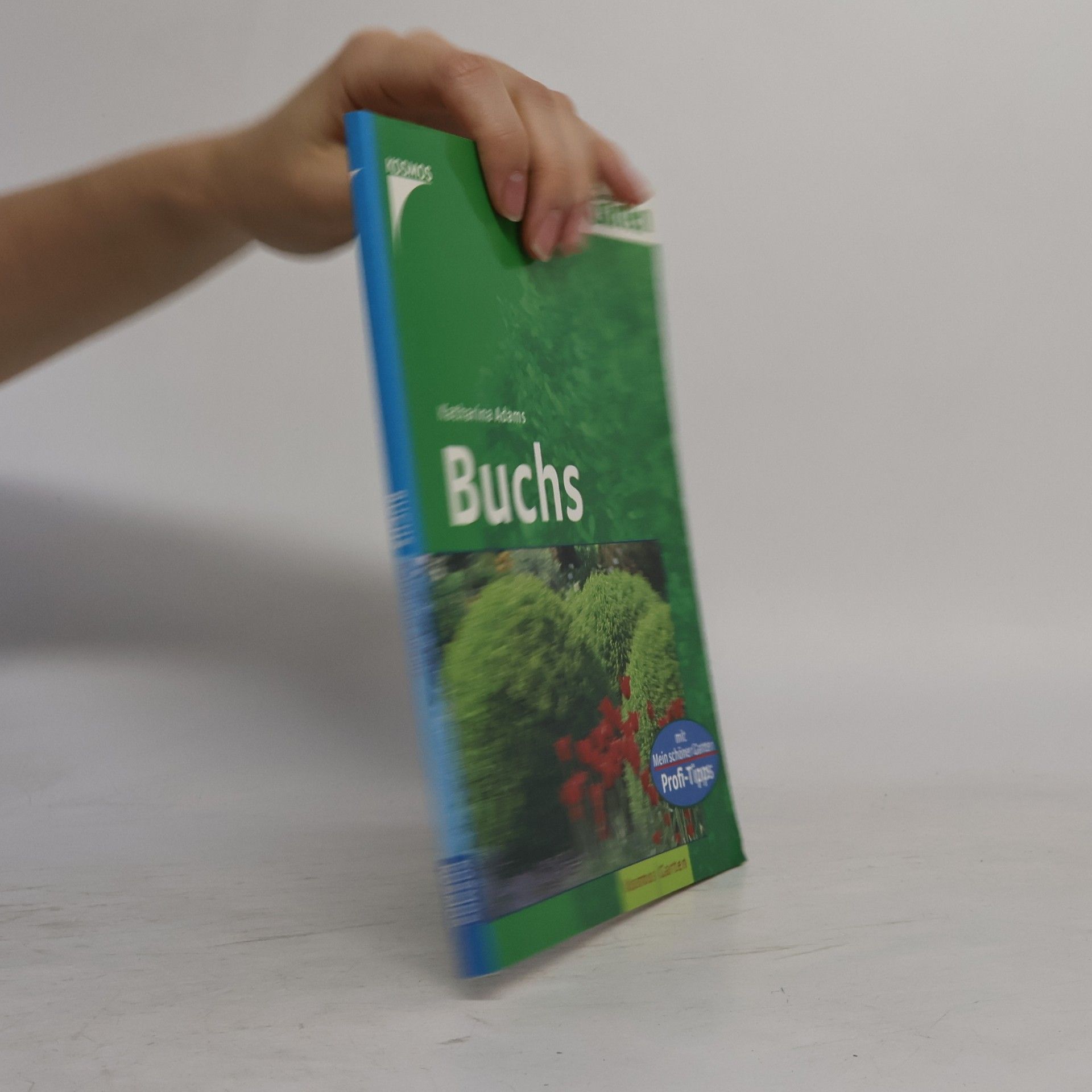 Buchs