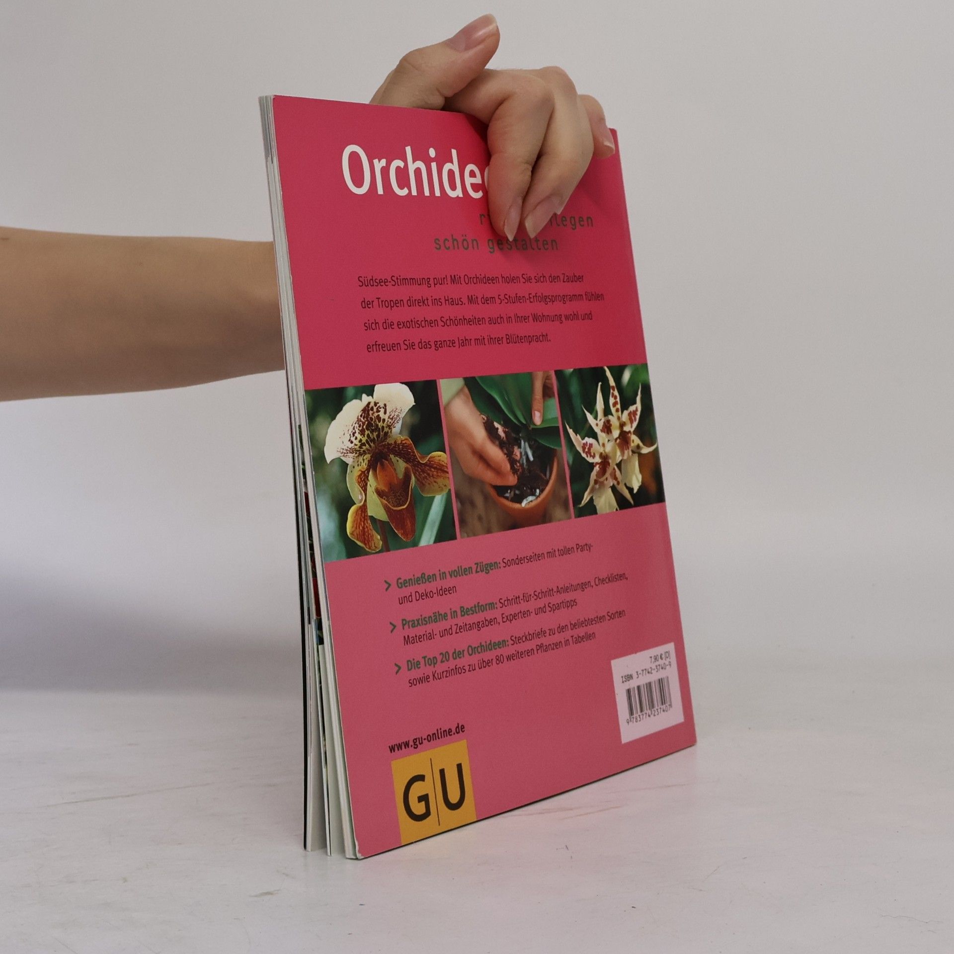 Frank Rolke Orchideen