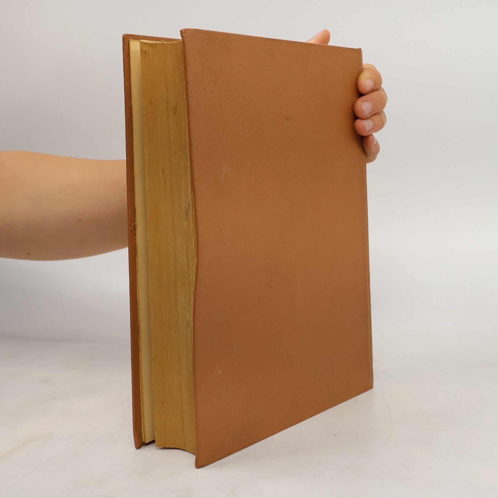 Various authors Neues Wirtschafts Lexikon II