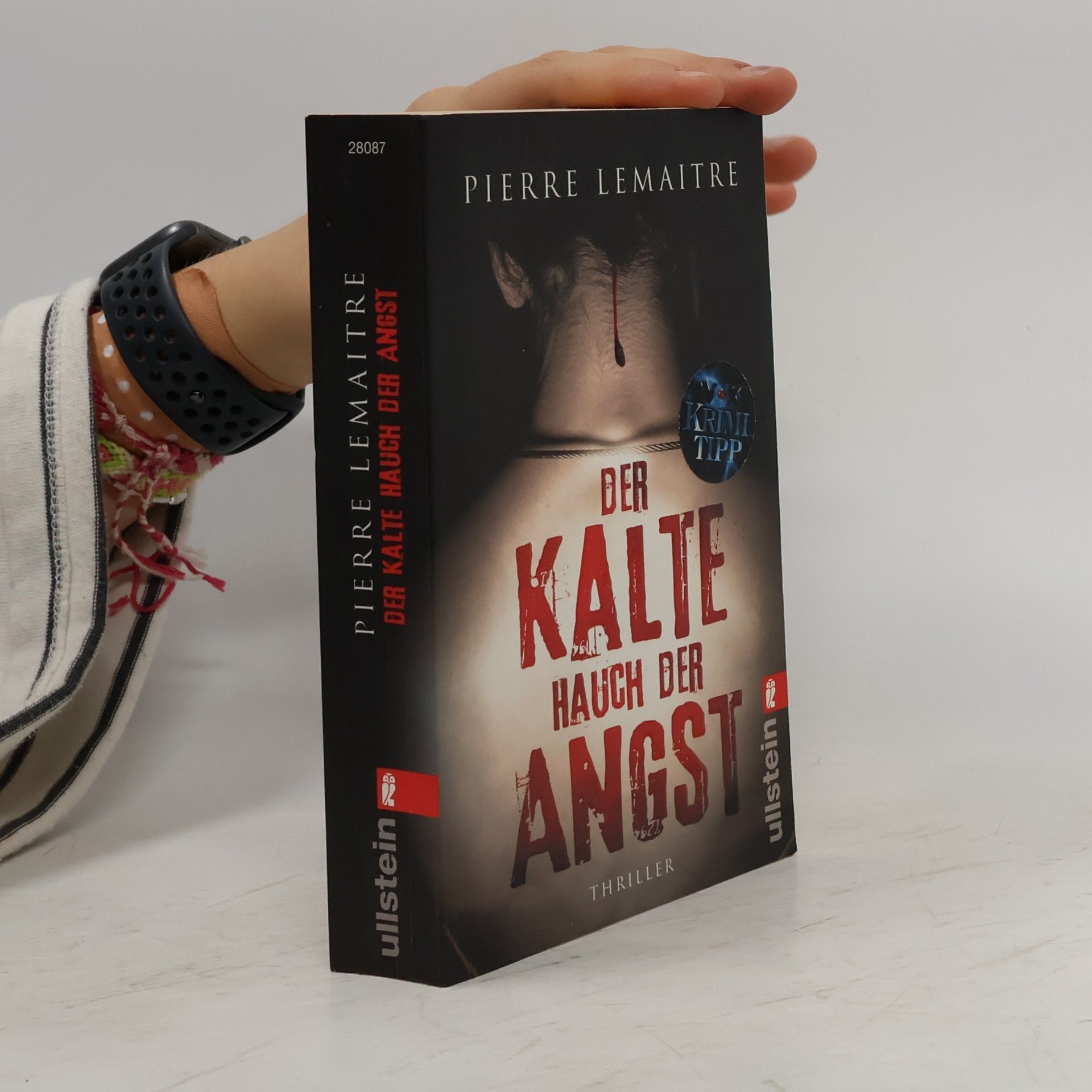 Pierre Lemaitre Der Kalte Hauch der Angst