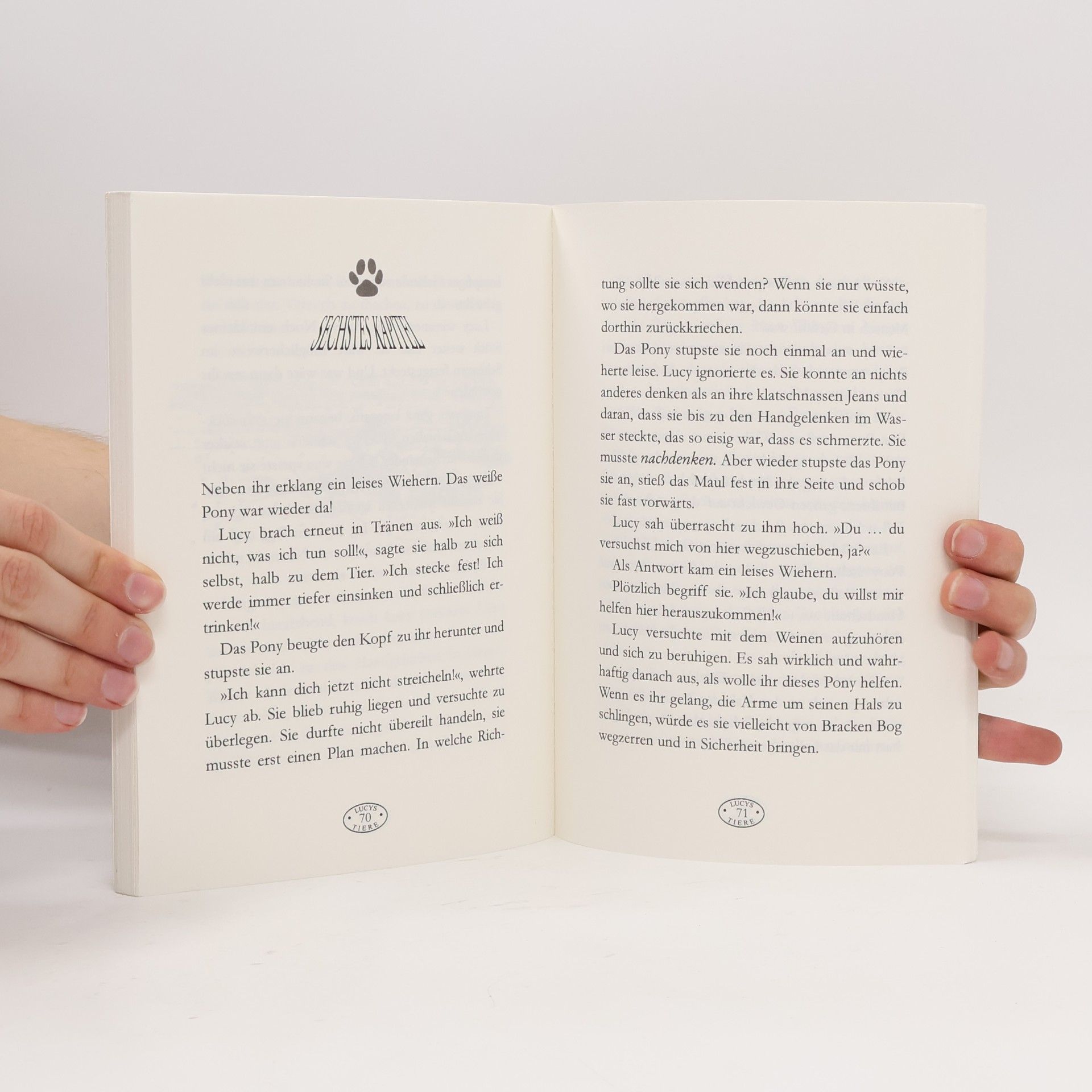 Mary Hooper Hilf mir, liebes Pony