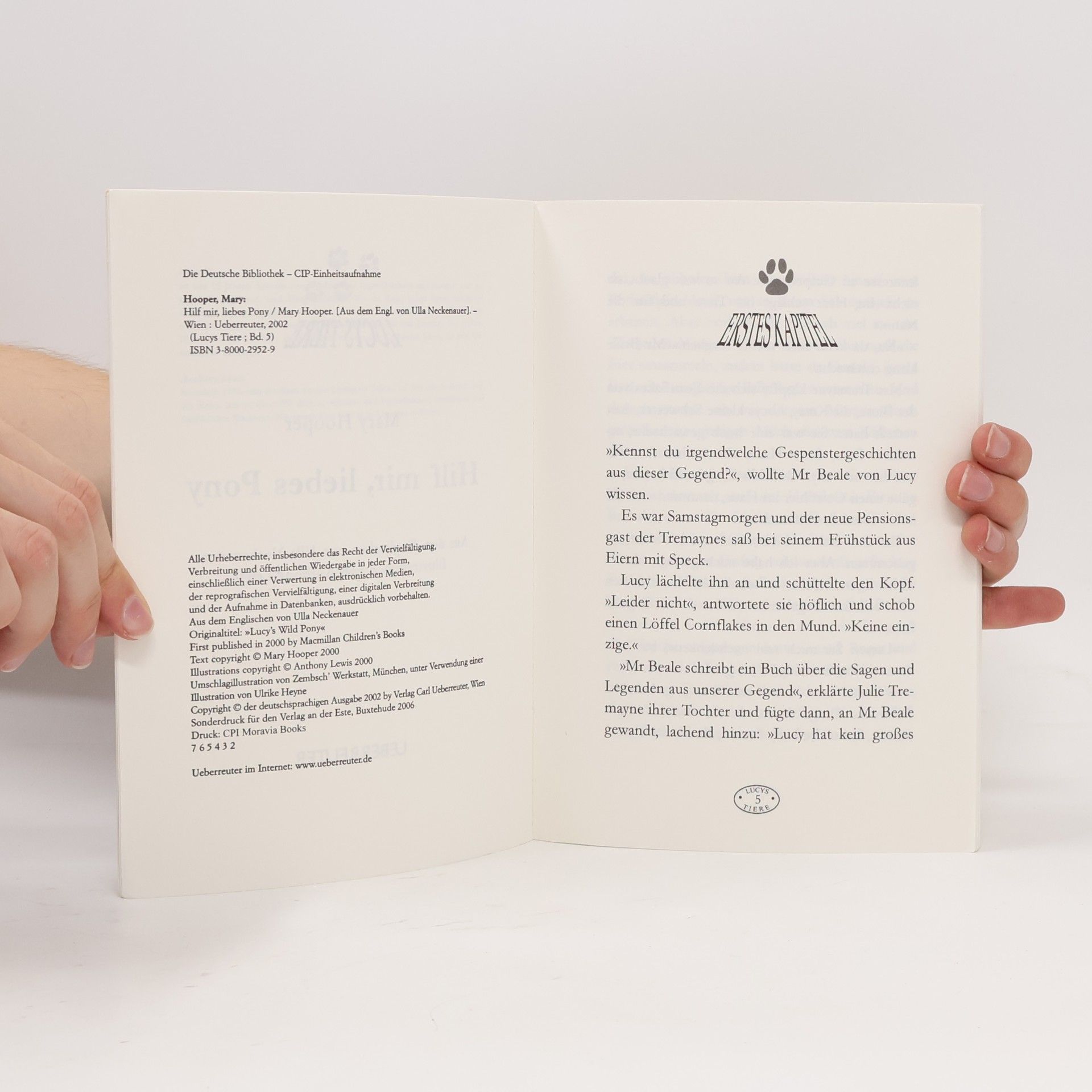 Mary Hooper Hilf mir, liebes Pony