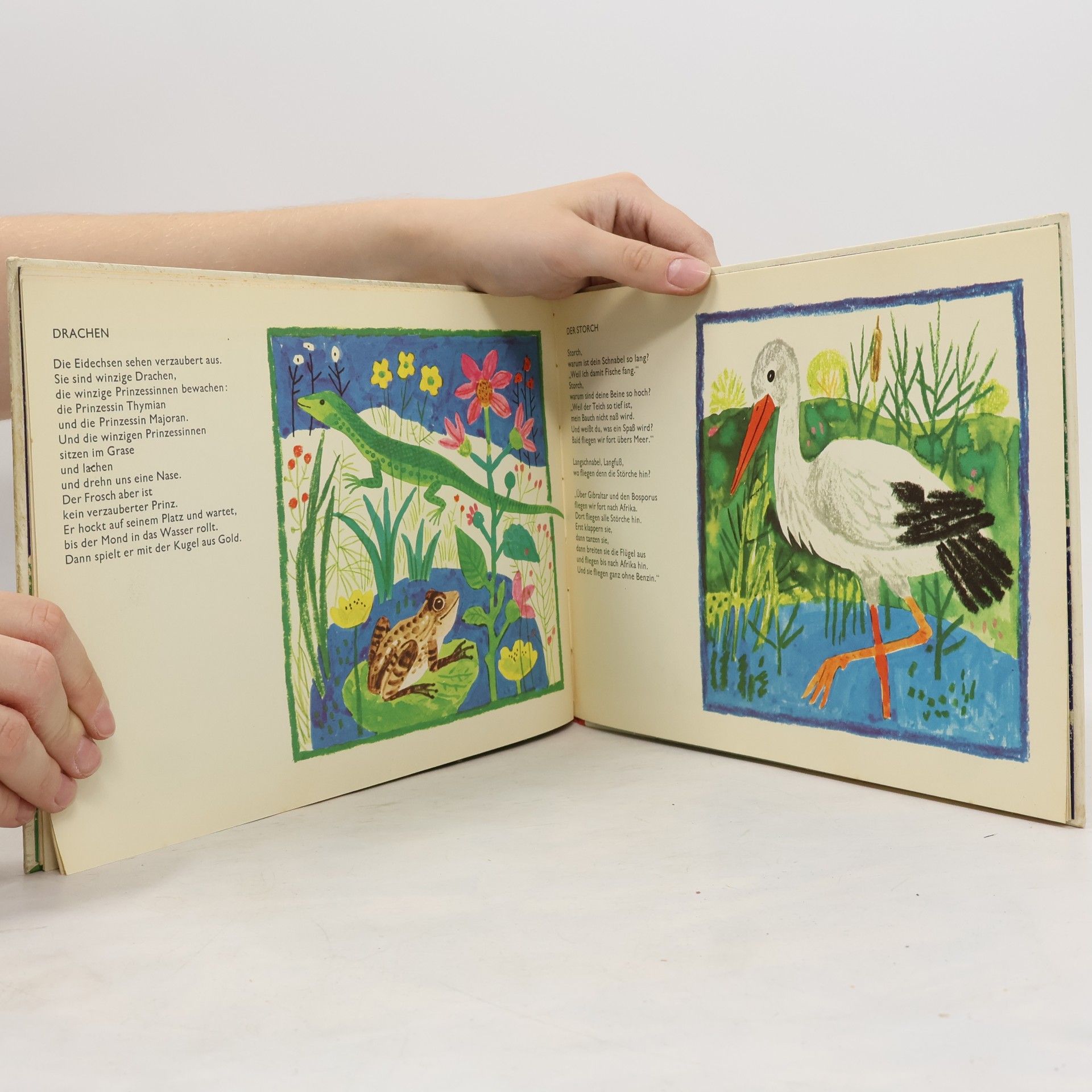Friedl Hofbauer Das goldene Buch der Tiere