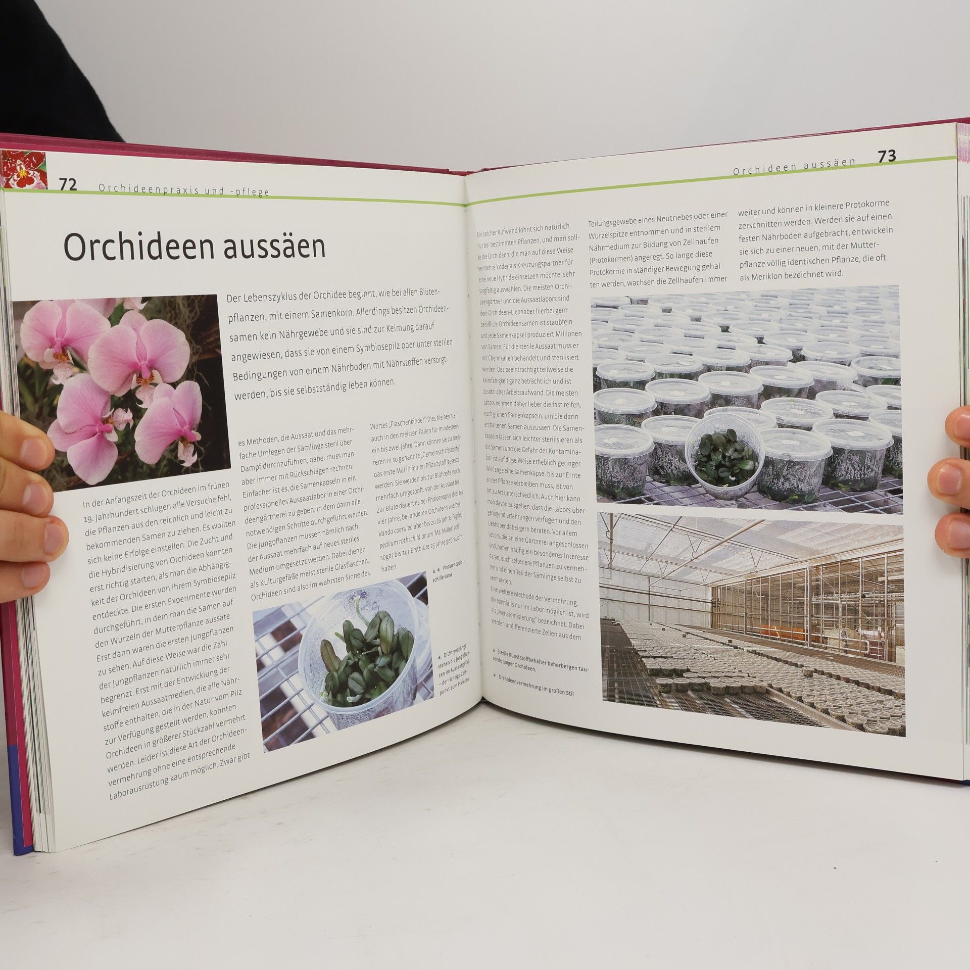 Joachim Erfkamp Orchideen-Handbuch