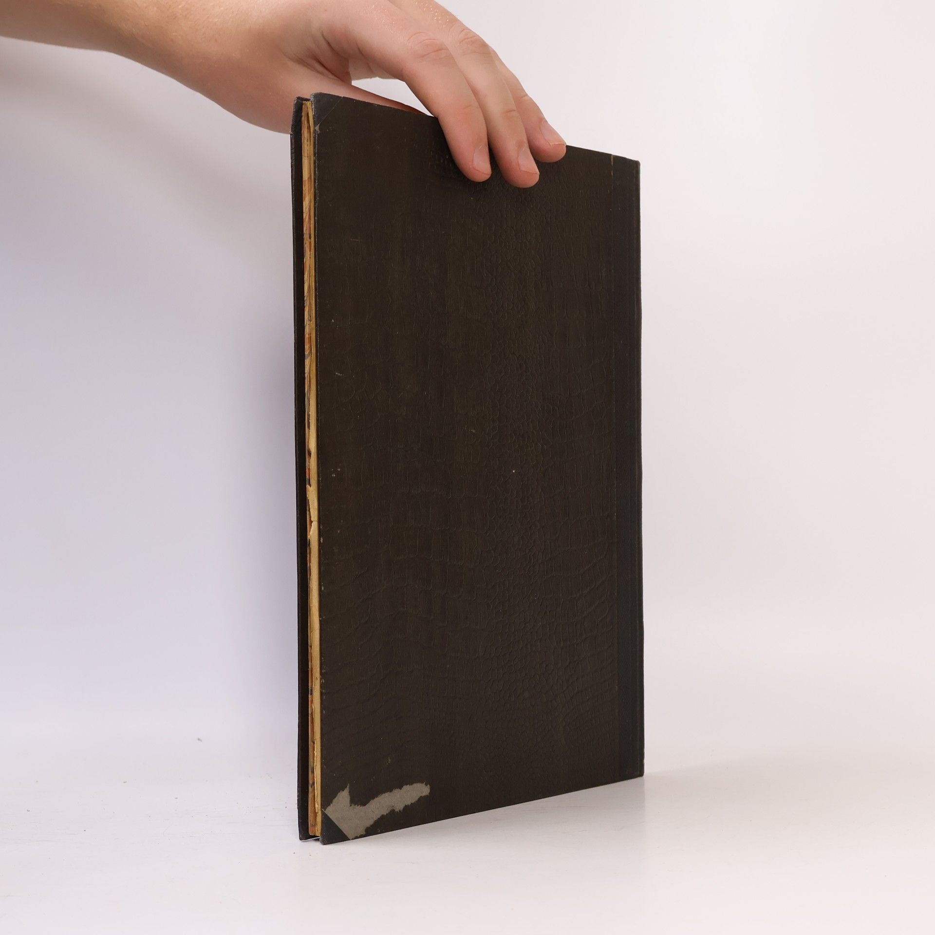 kolektiv Salonní bibliotéka