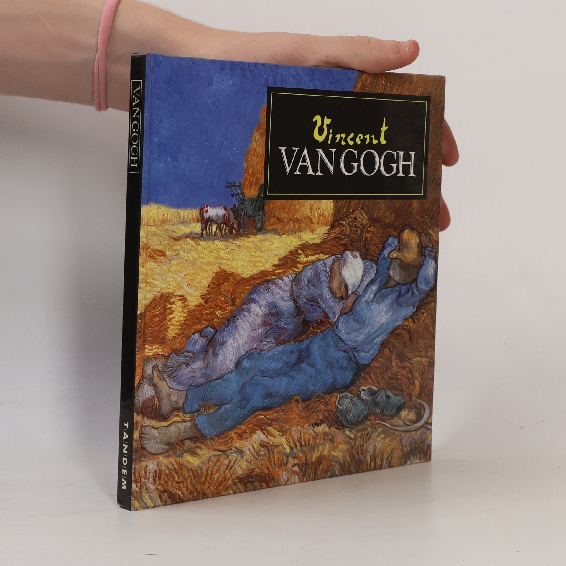 Vincent van Gogh Van Gogh