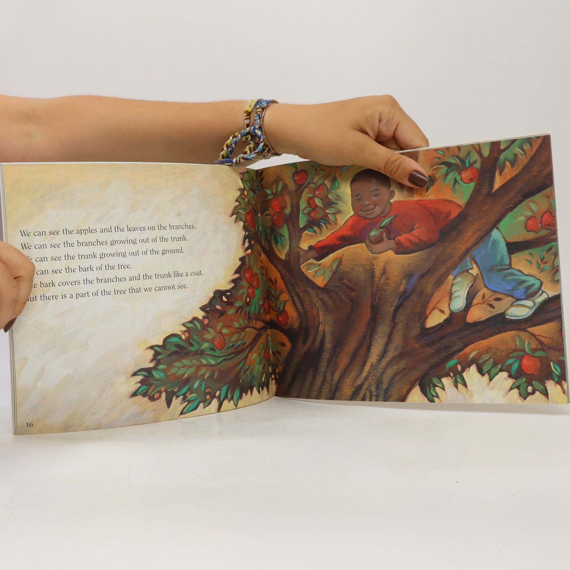 Clyde Robert Bulla Let's-Read-and-Find-Out Science®: A Tree Is a Plant