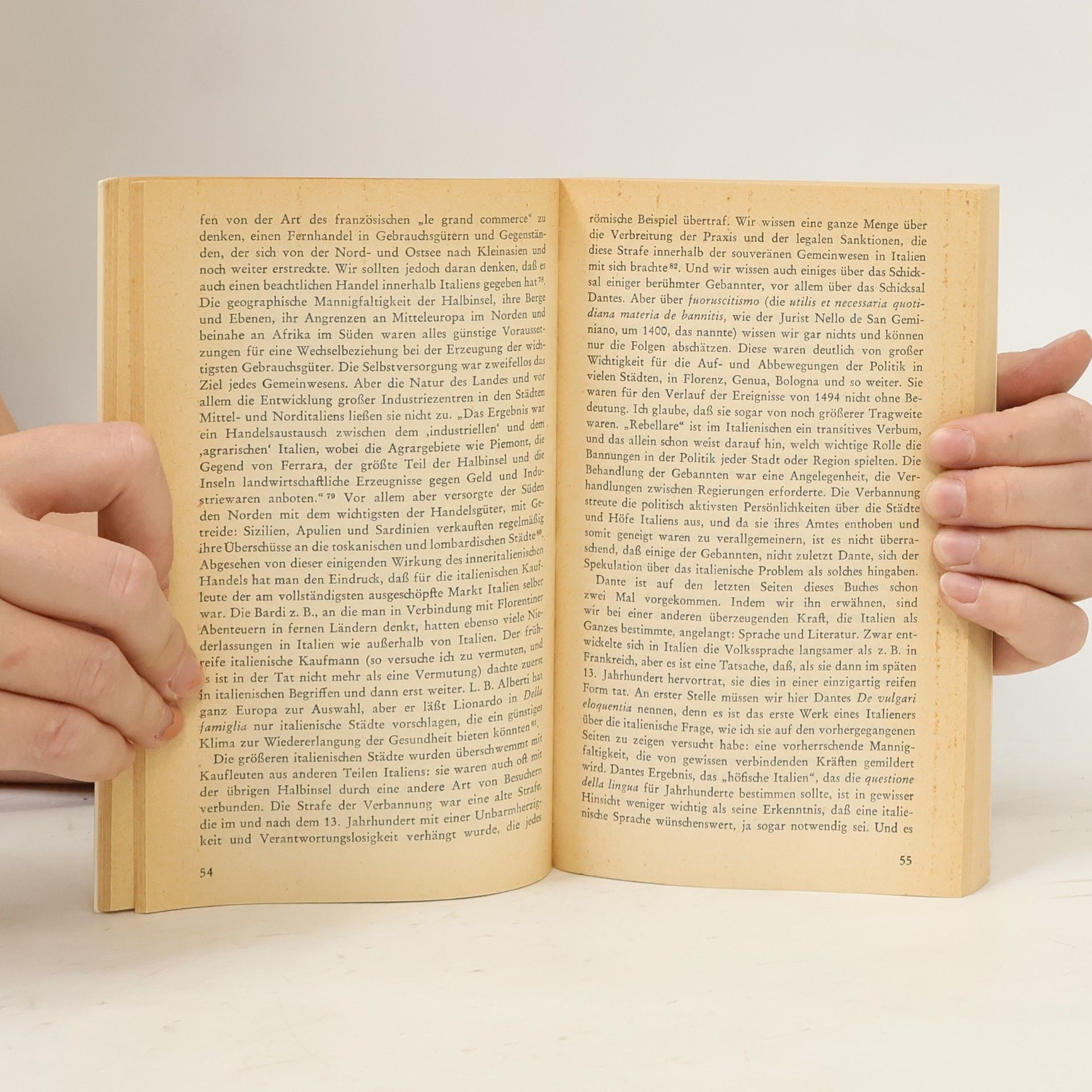 Denis Hay Geschichte Italiens in der Renaissance