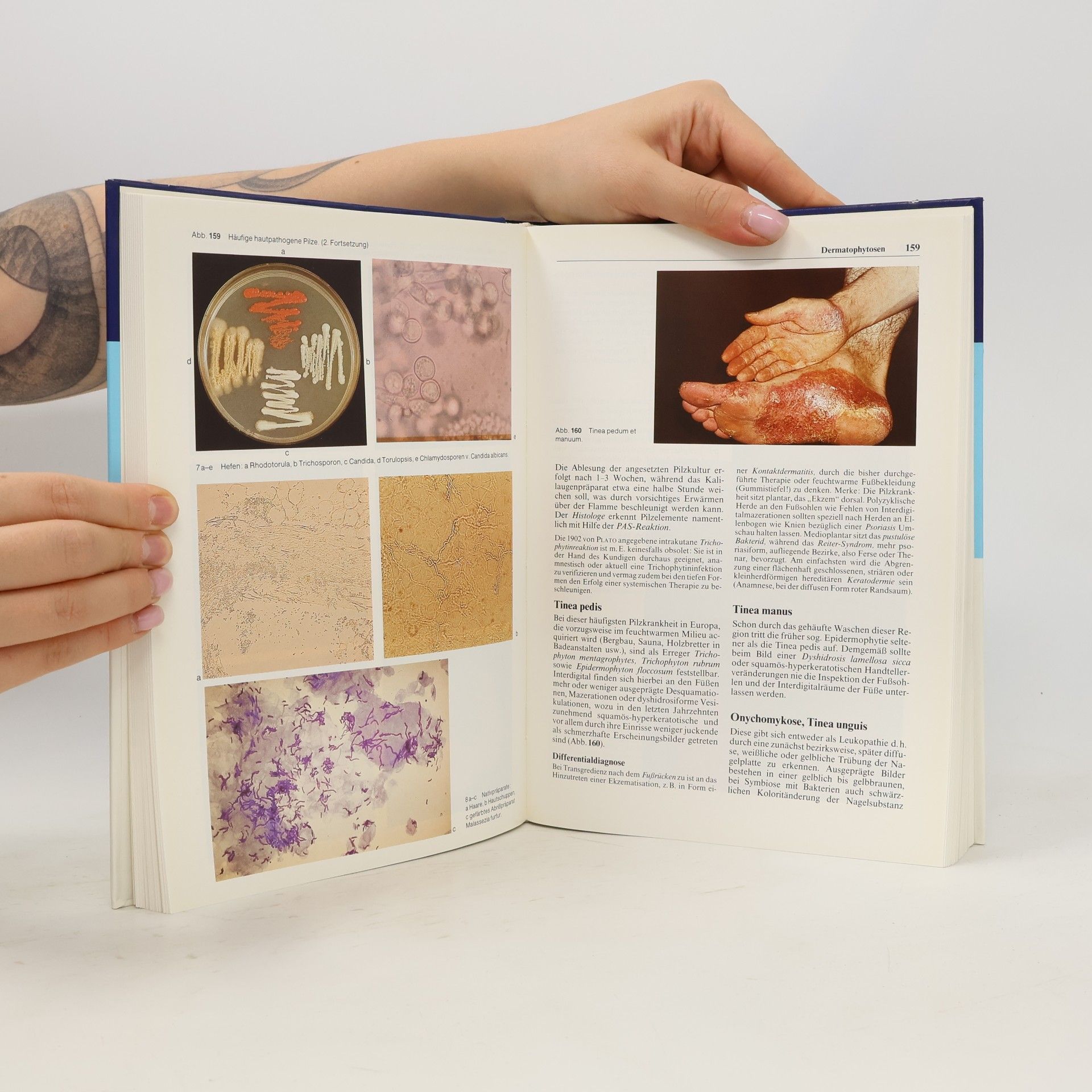 Günter W. Korting Praxis der Dermatologie