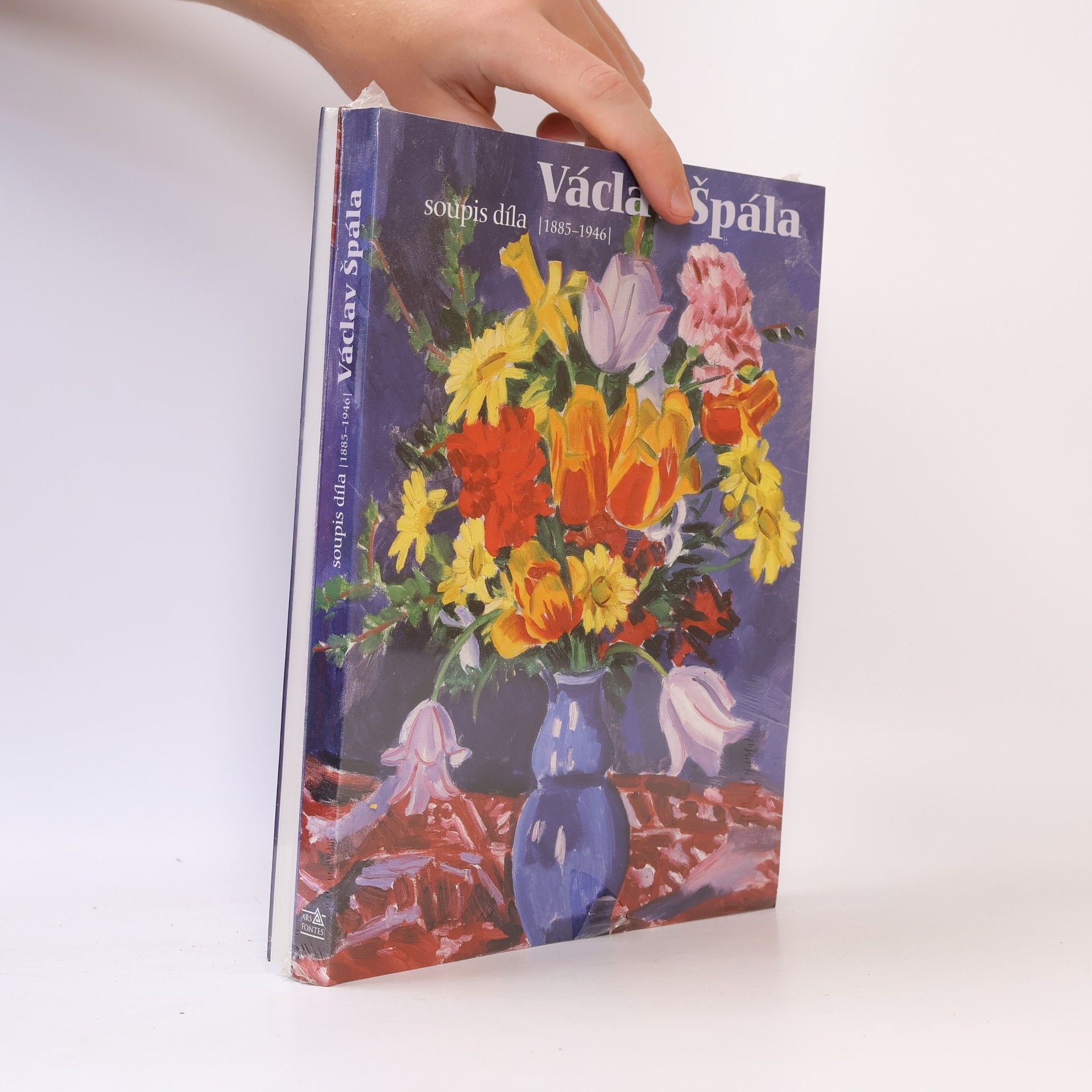 Václav Špála Václav Špála : soupis díla (1885-1946)